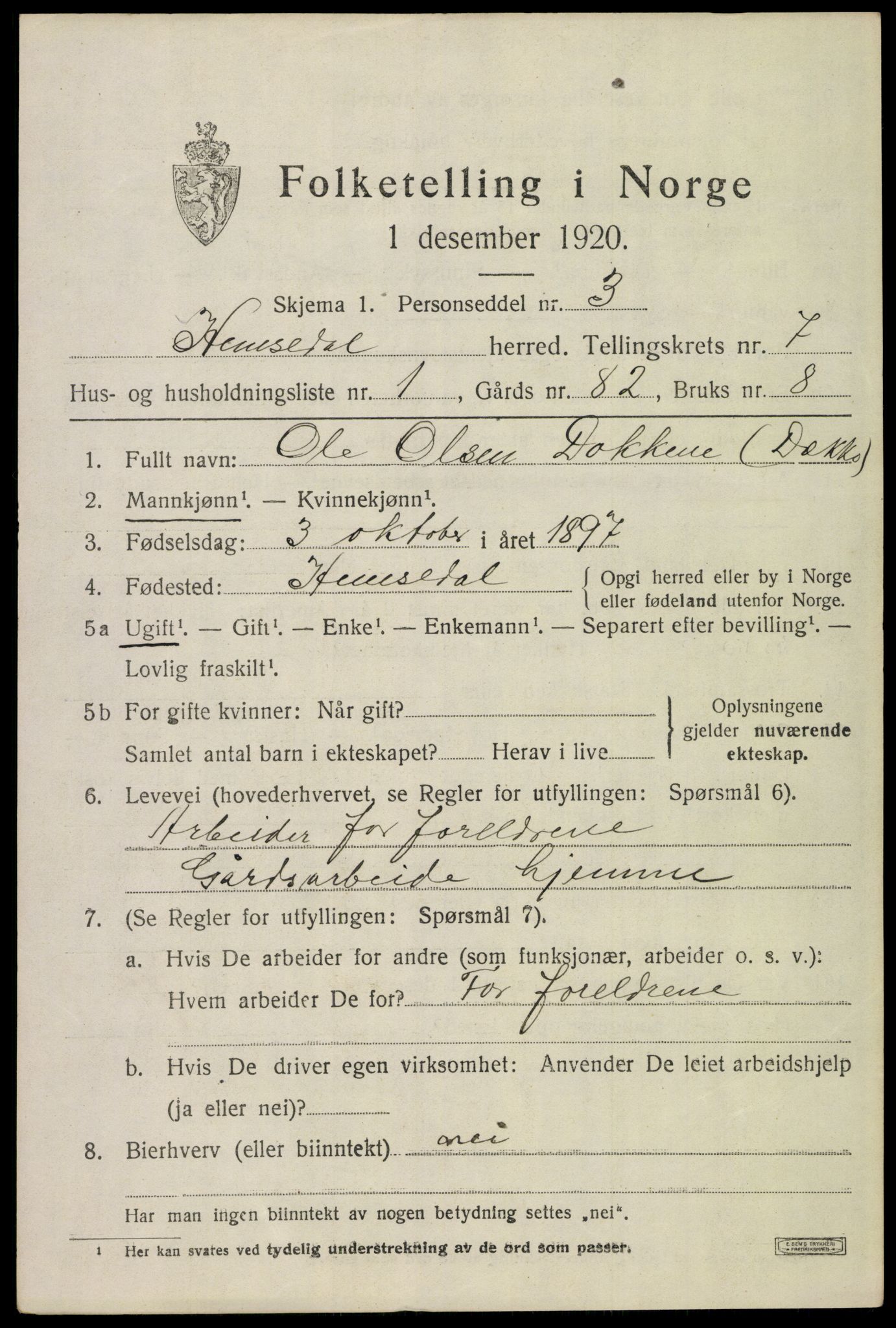 SAKO, 1920 census for Hemsedal, 1920, p. 2954