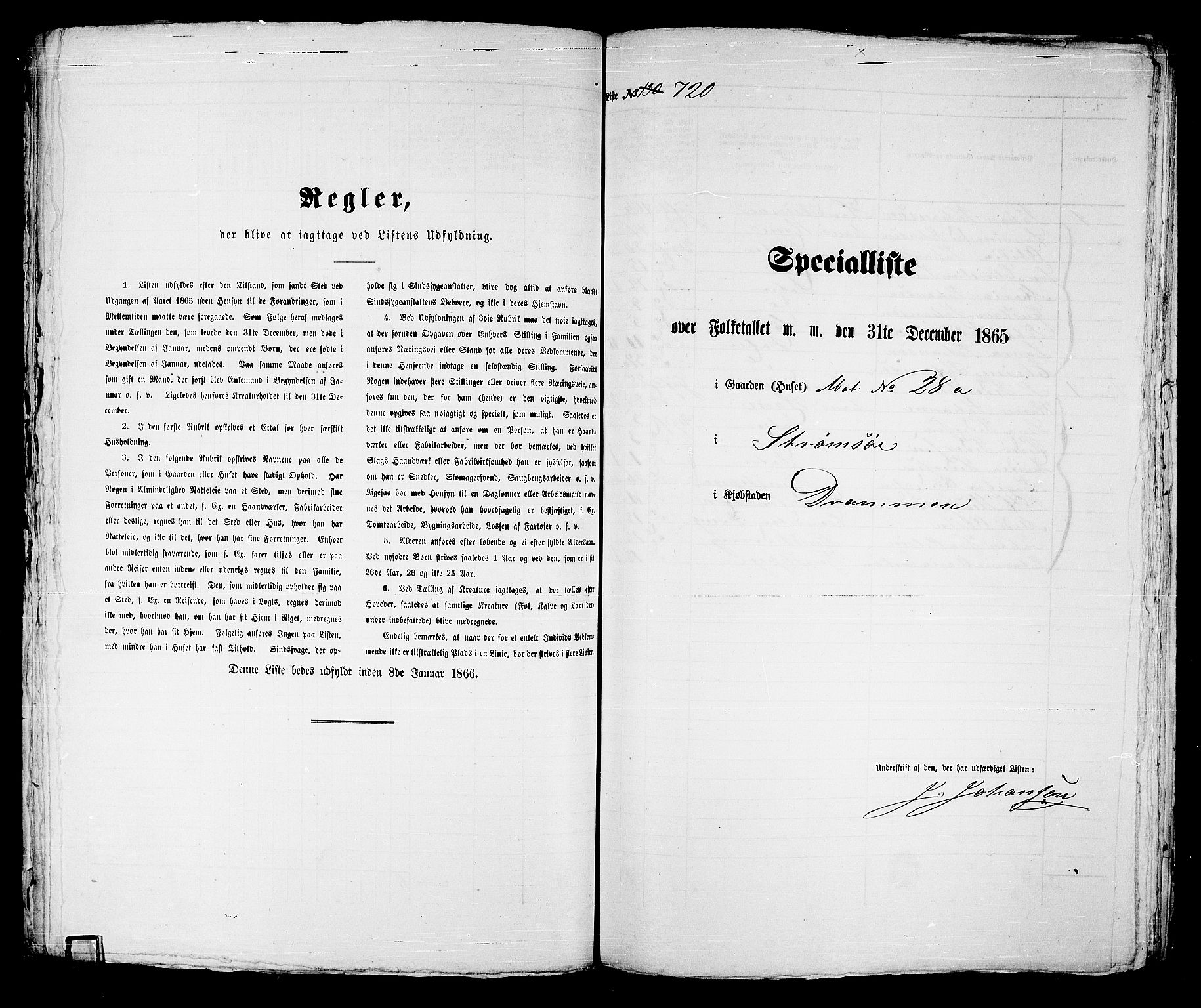 RA, 1865 census for Strømsø in Drammen, 1865, p. 255