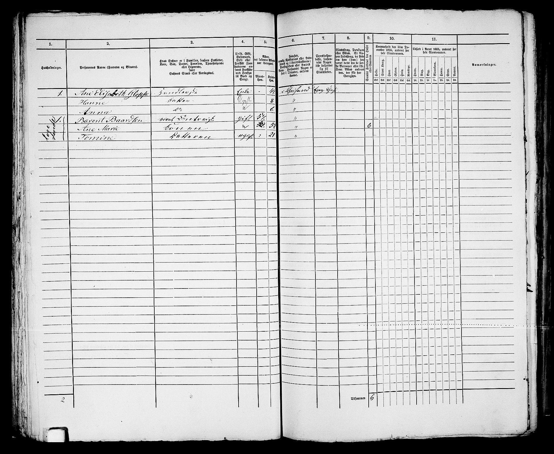 RA, 1865 census for Kristiansand, 1865, p. 1072