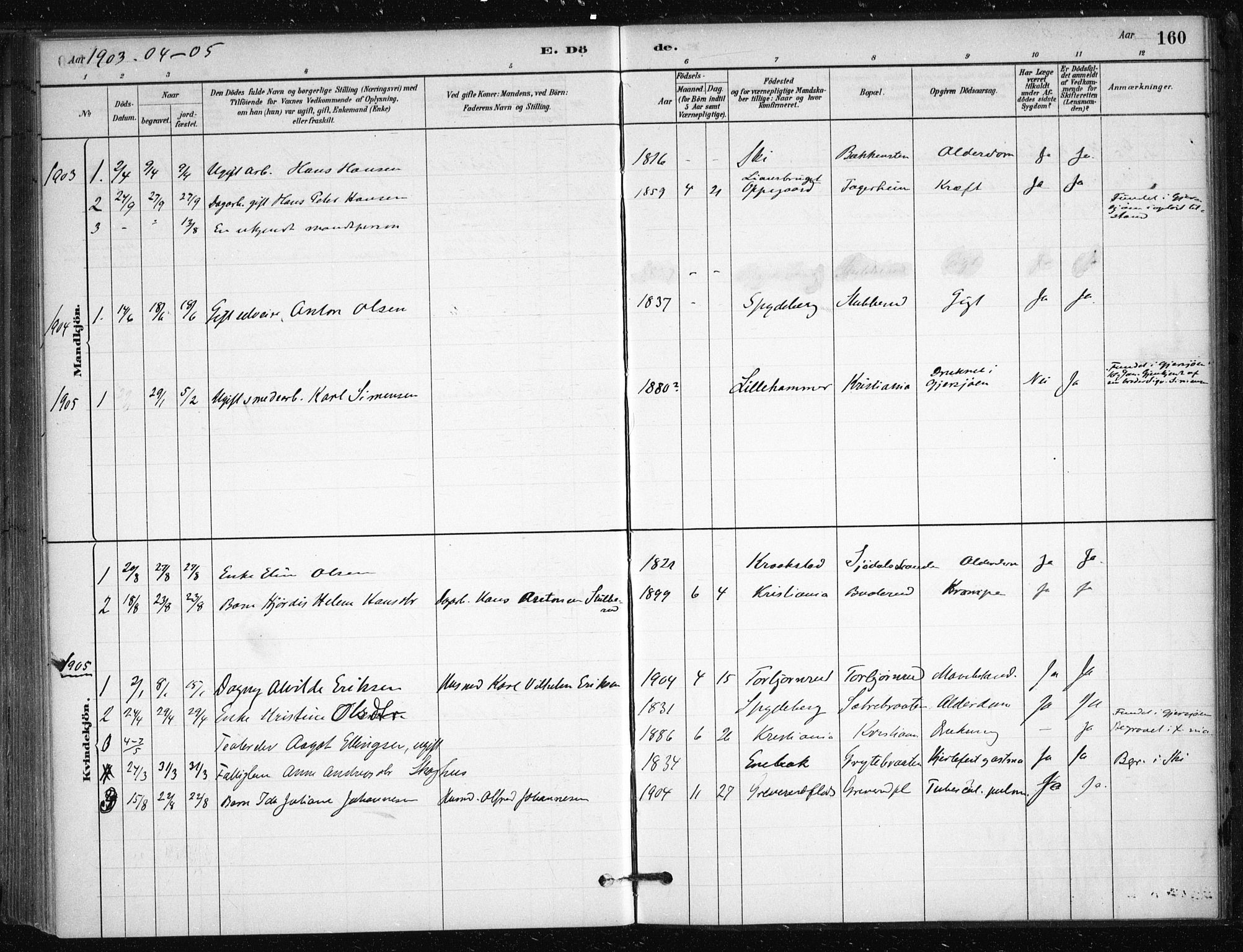 Nesodden prestekontor Kirkebøker, SAO/A-10013/F/Fb/L0001: Parish register (official) no. II 1, 1880-1915, p. 160
