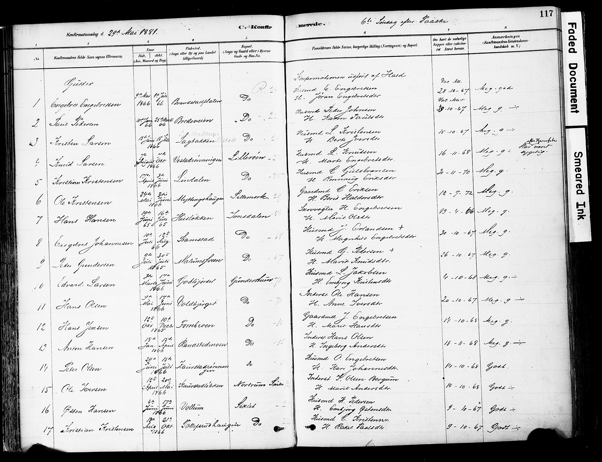 Ringebu prestekontor, SAH/PREST-082/H/Ha/Haa/L0008: Parish register (official) no. 8, 1878-1898, p. 117