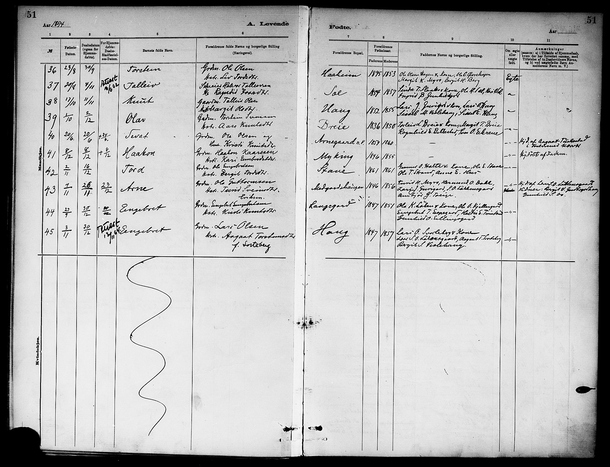 Ål kirkebøker, SAKO/A-249/F/Fa/L0008: Parish register (official) no. I 8, 1882-1896, p. 51