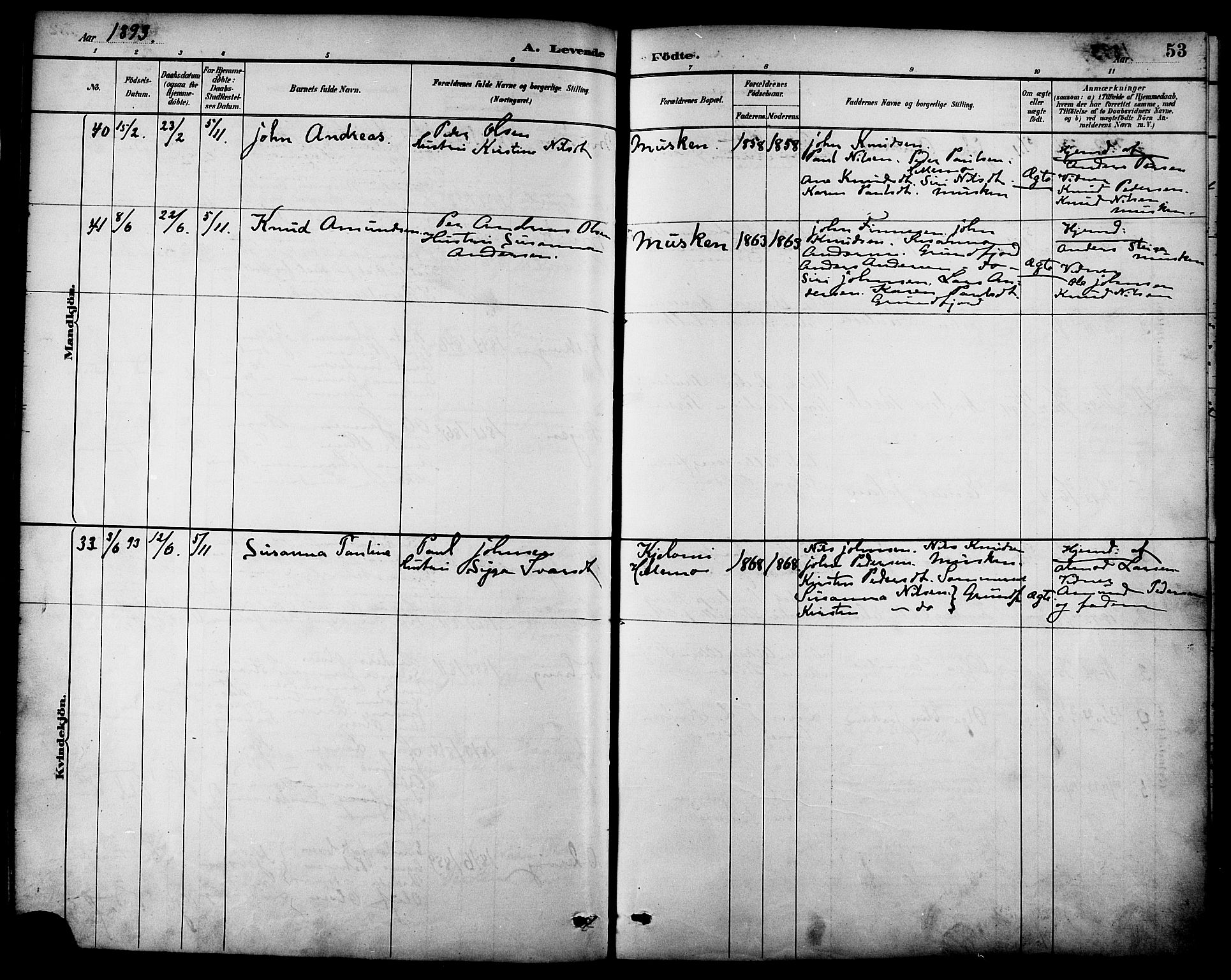 Ministerialprotokoller, klokkerbøker og fødselsregistre - Nordland, AV/SAT-A-1459/861/L0869: Parish register (official) no. 861A04, 1889-1903, p. 53