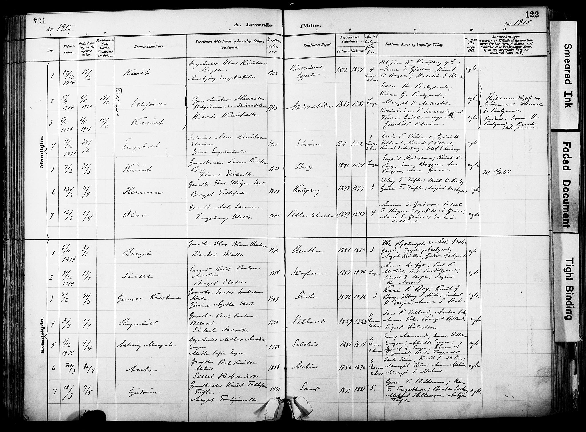 Hol kirkebøker, AV/SAKO-A-227/F/Fa/L0003: Parish register (official) no. I 3, 1887-1918, p. 122