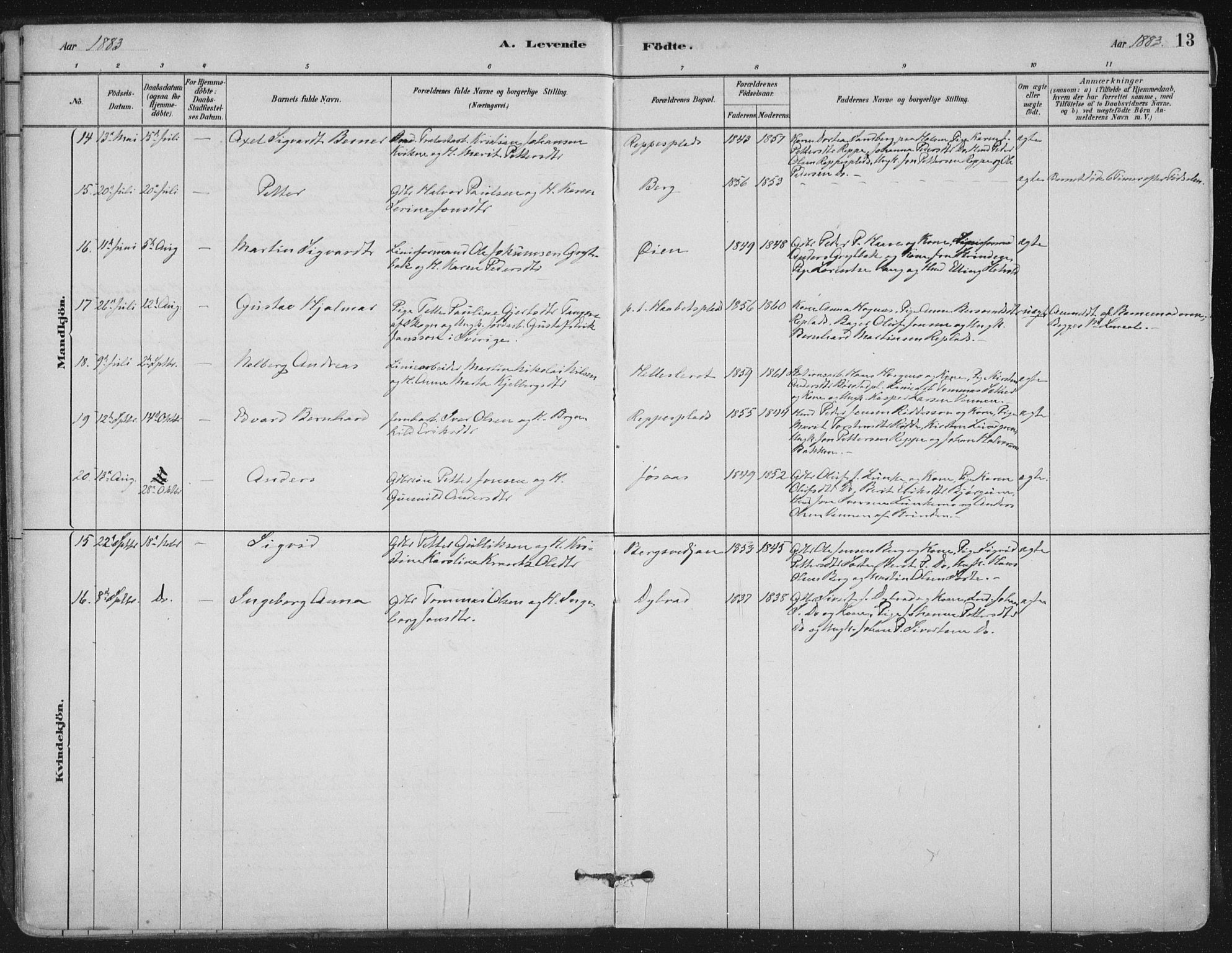 Ministerialprotokoller, klokkerbøker og fødselsregistre - Nord-Trøndelag, SAT/A-1458/710/L0095: Parish register (official) no. 710A01, 1880-1914, p. 13