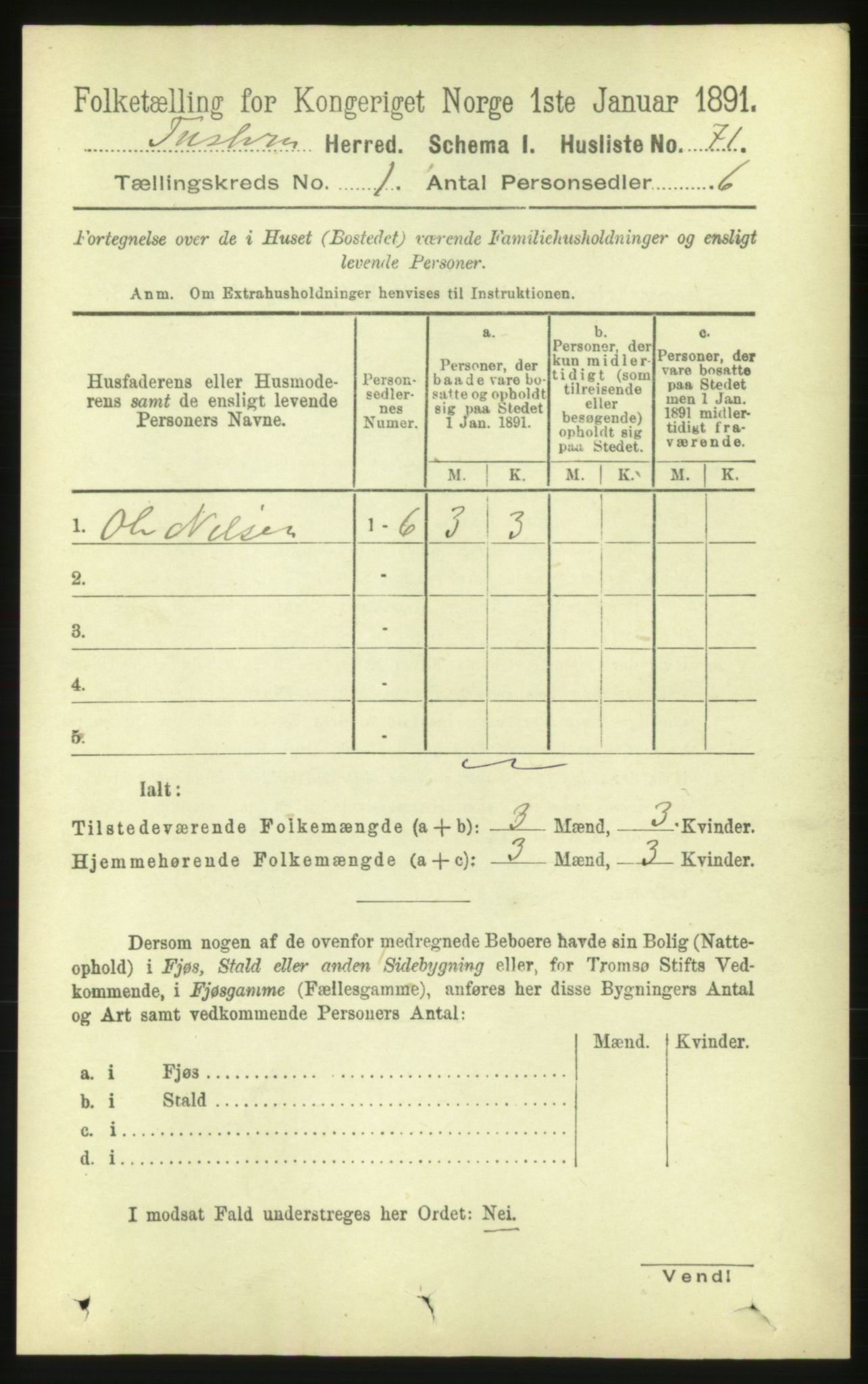 RA, 1891 census for 1572 Tustna, 1891, p. 91