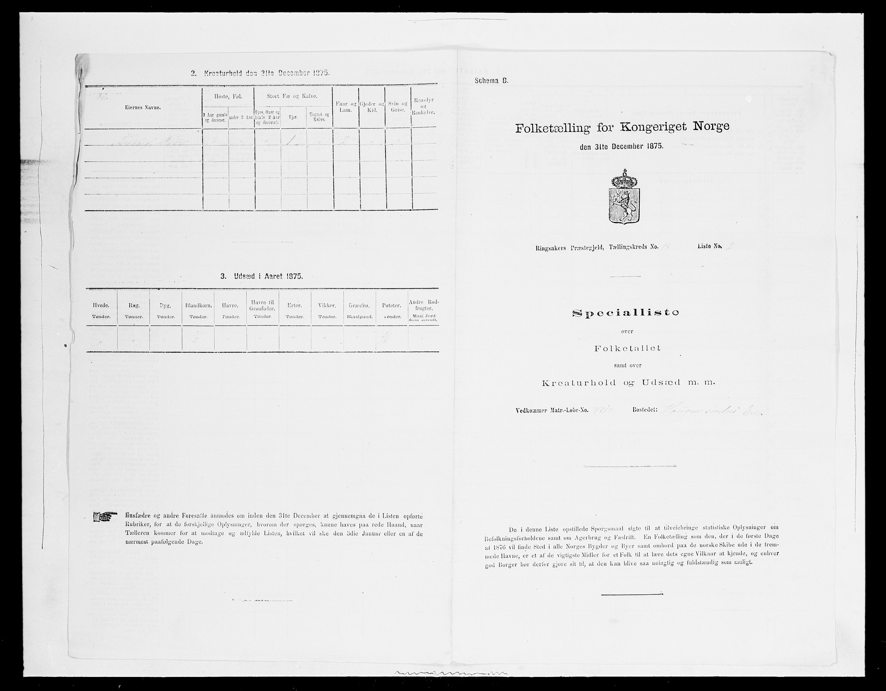 SAH, 1875 census for 0412P Ringsaker, 1875, p. 3560