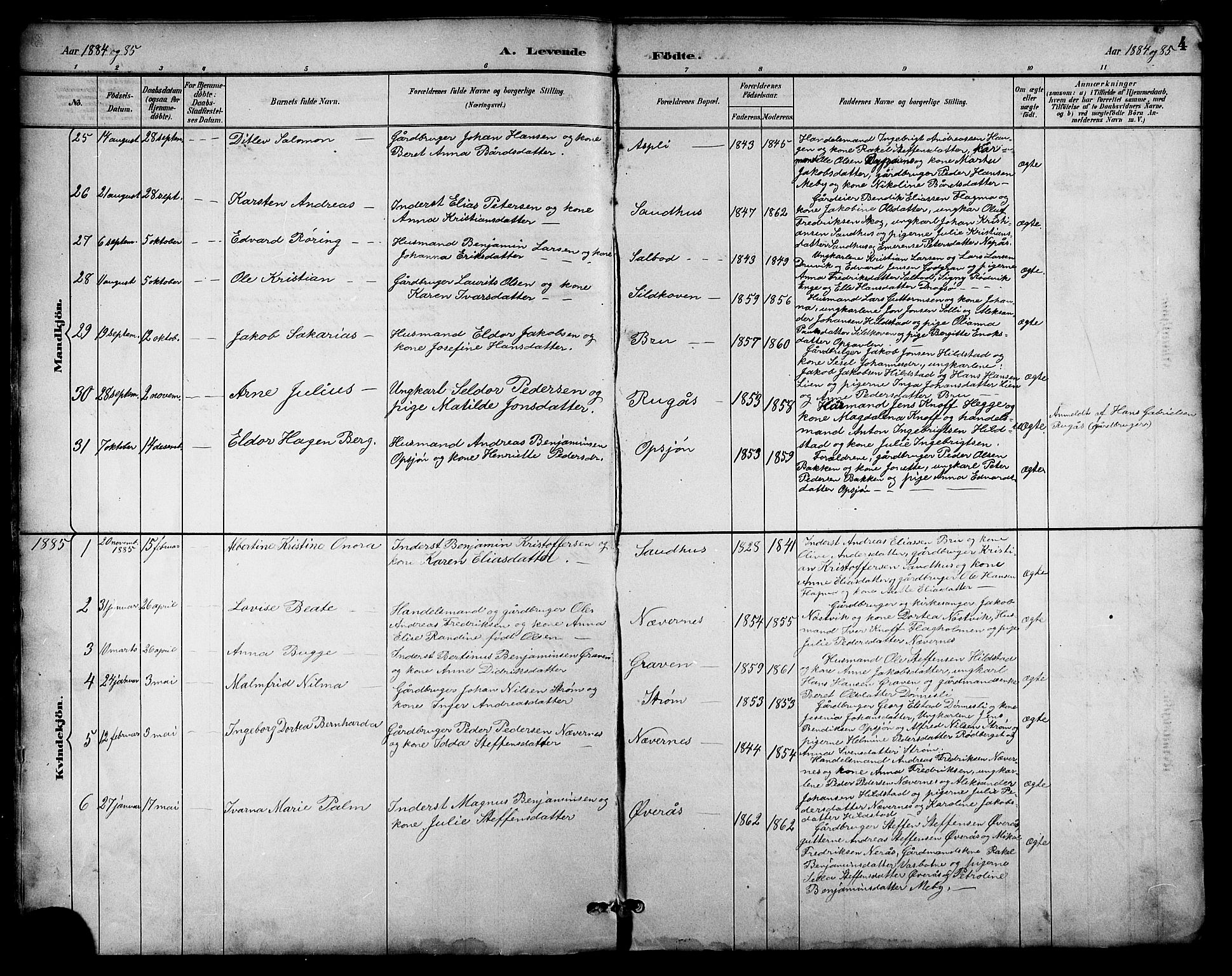 Ministerialprotokoller, klokkerbøker og fødselsregistre - Nordland, AV/SAT-A-1459/814/L0230: Parish register (copy) no. 814C03, 1884-1911, p. 4