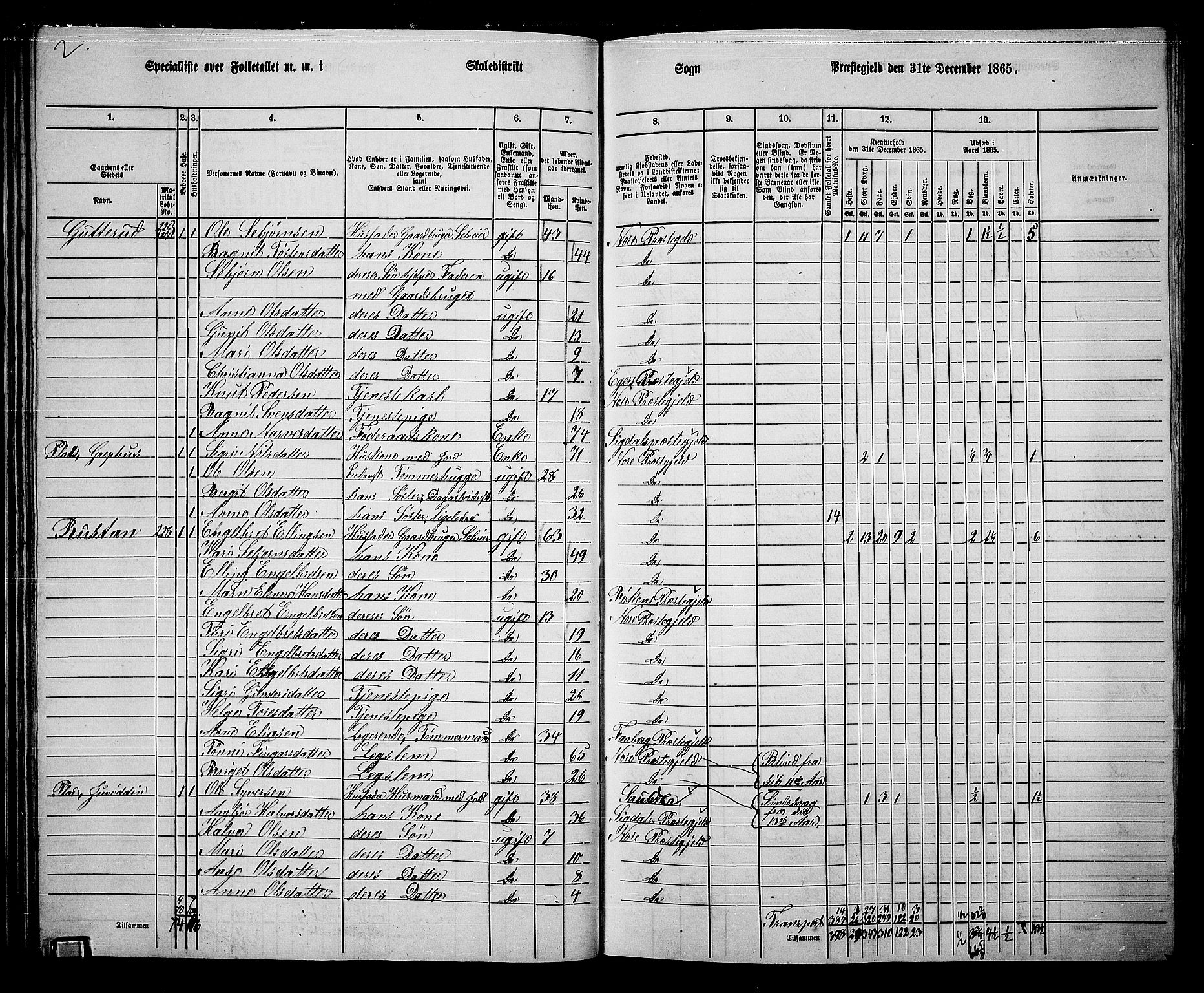 RA, 1865 census for Nore, 1865, p. 44