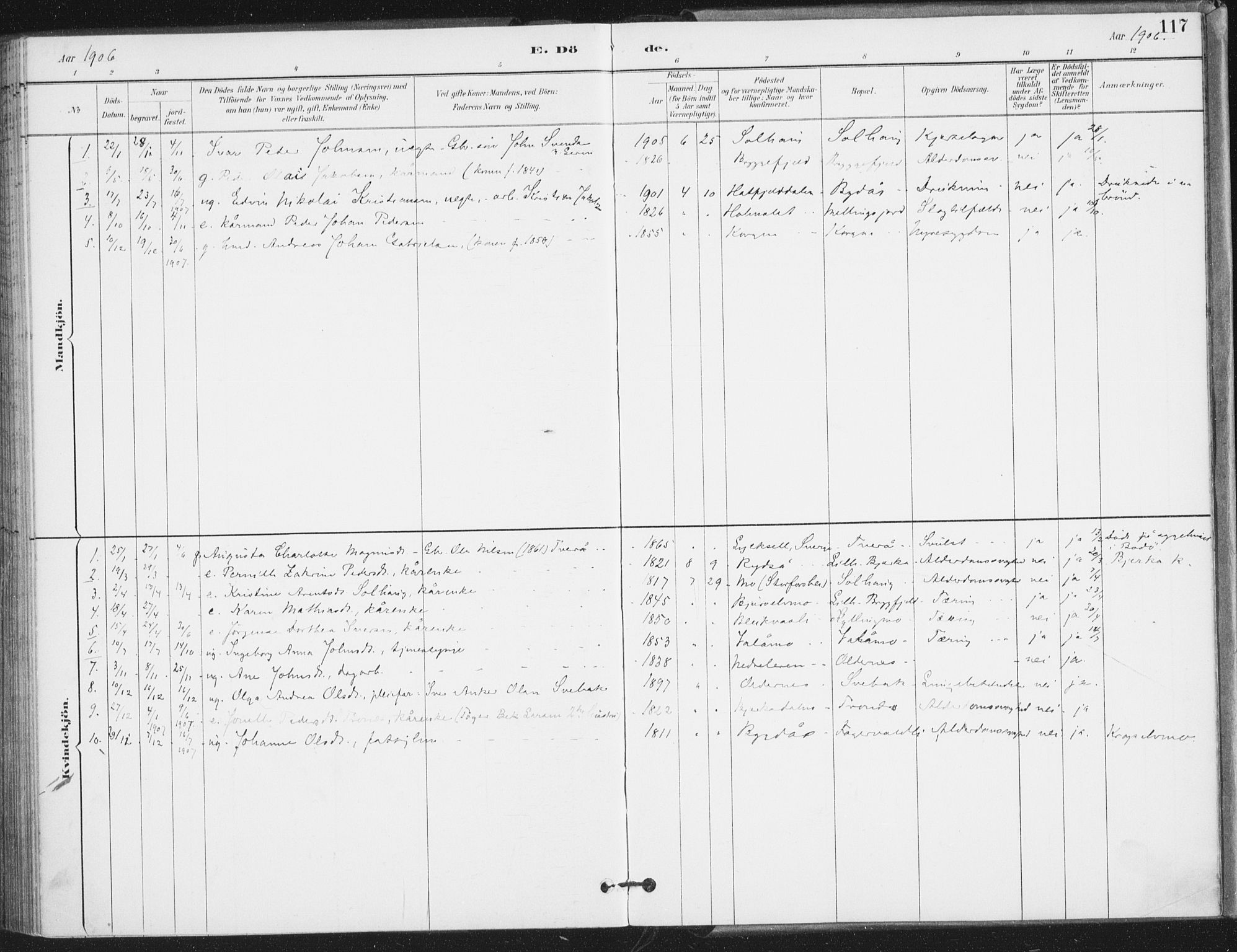 Ministerialprotokoller, klokkerbøker og fødselsregistre - Nordland, SAT/A-1459/826/L0380: Parish register (official) no. 826A03, 1891-1911, p. 117
