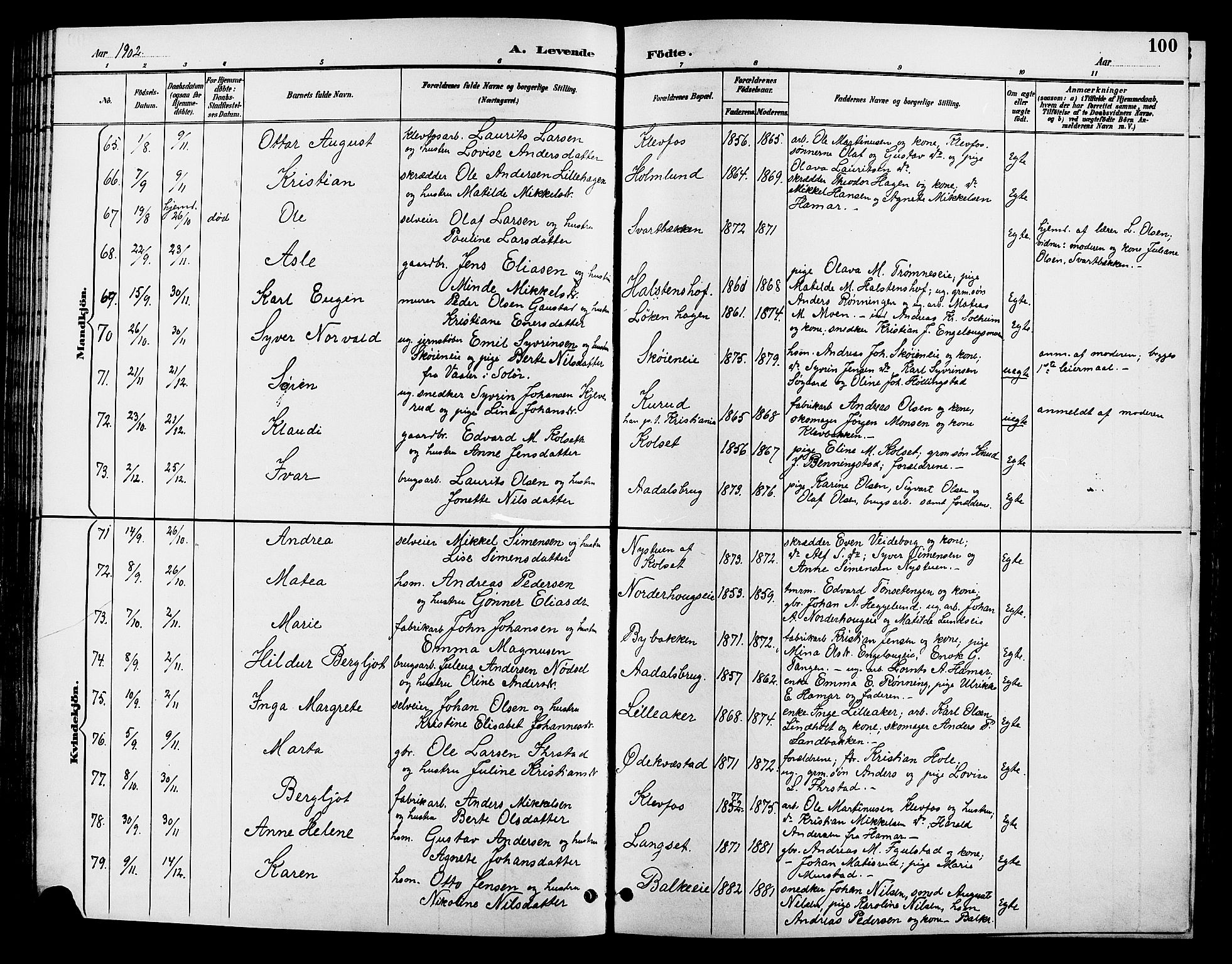 Løten prestekontor, SAH/PREST-022/L/La/L0006: Parish register (copy) no. 6, 1892-1909, p. 100