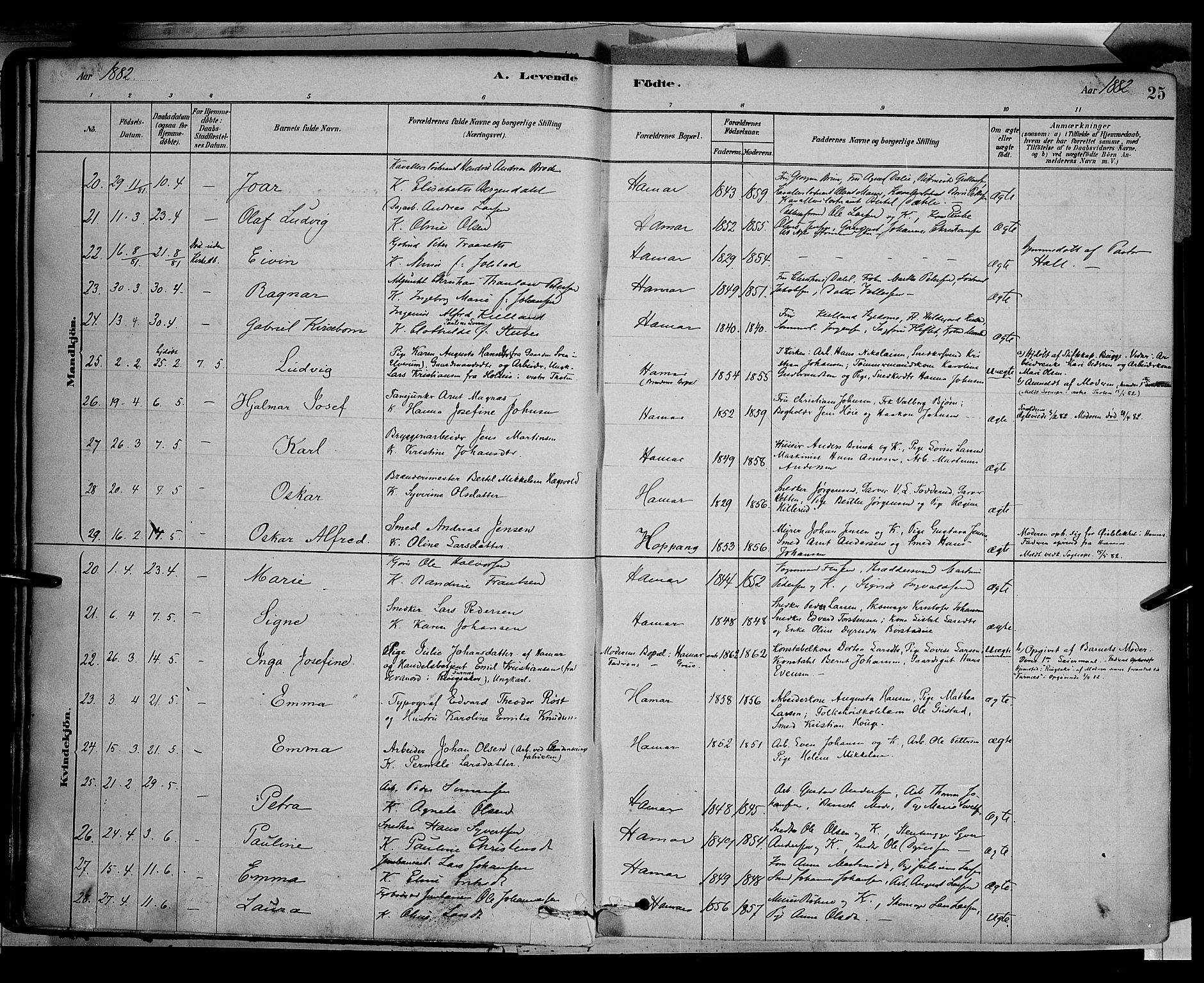 Vang prestekontor, Hedmark, AV/SAH-PREST-008/H/Ha/Haa/L0016: Parish register (official) no. 16, 1878-1889, p. 25