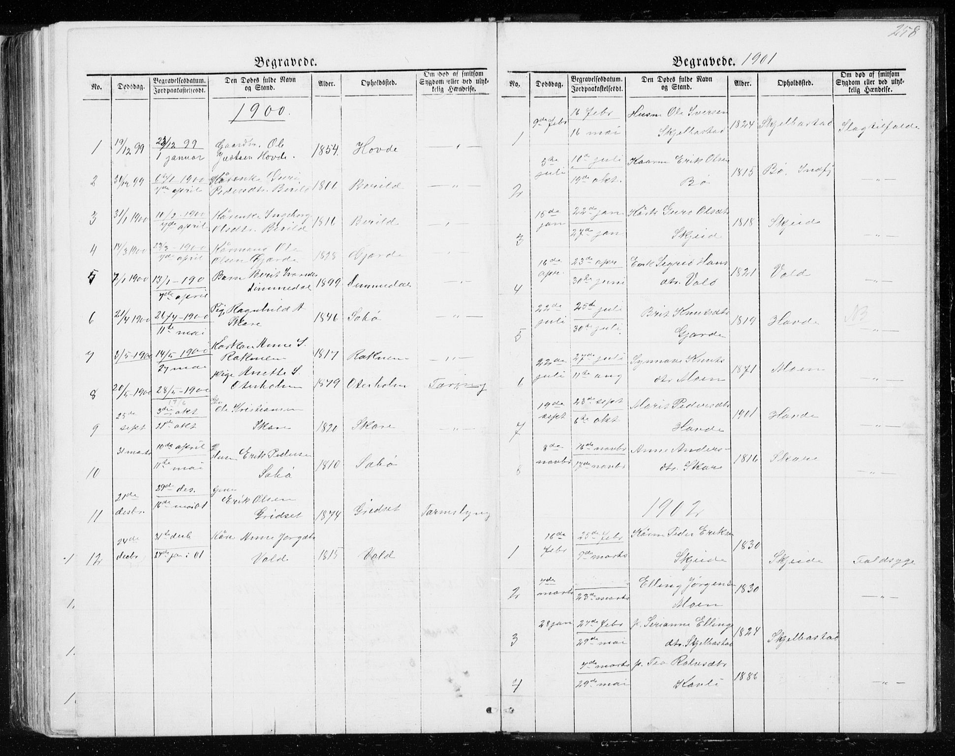 Ministerialprotokoller, klokkerbøker og fødselsregistre - Møre og Romsdal, SAT/A-1454/543/L0564: Parish register (copy) no. 543C02, 1867-1915, p. 258