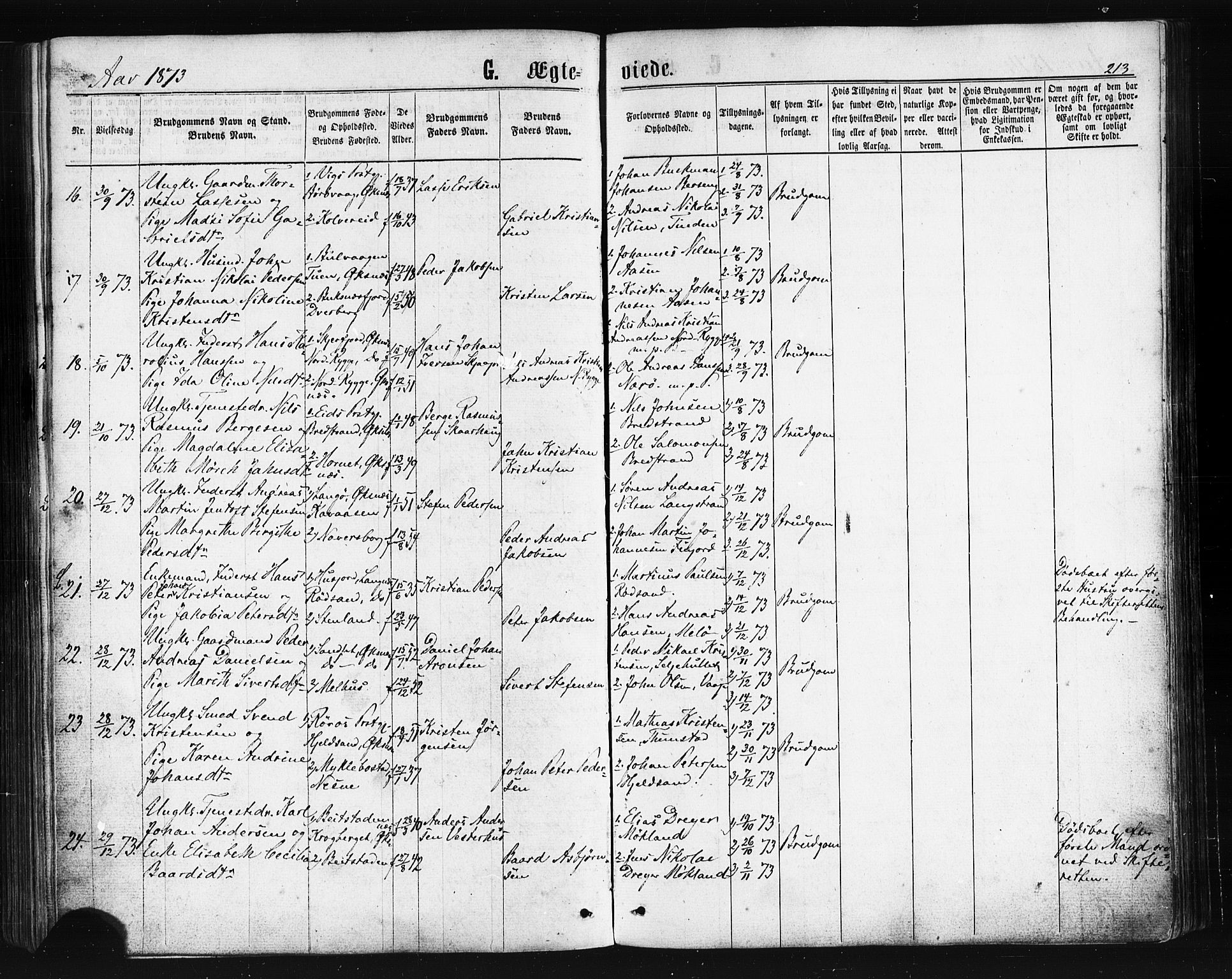 Ministerialprotokoller, klokkerbøker og fødselsregistre - Nordland, SAT/A-1459/893/L1334: Parish register (official) no. 893A07, 1867-1877, p. 213