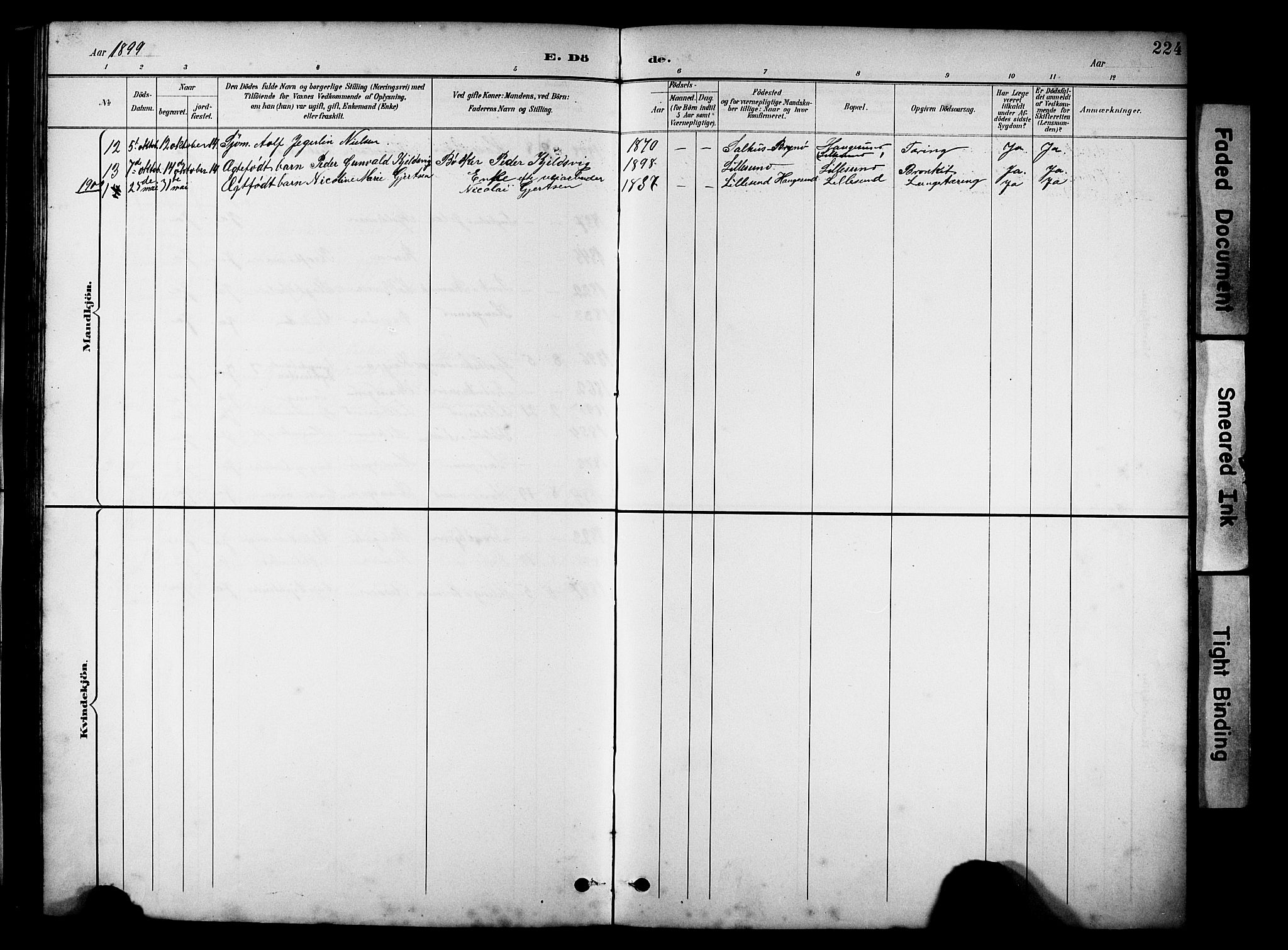 Haugesund sokneprestkontor, SAST/A -101863/H/Ha/Hab/L0005: Parish register (copy) no. B 5, 1894-1908, p. 224