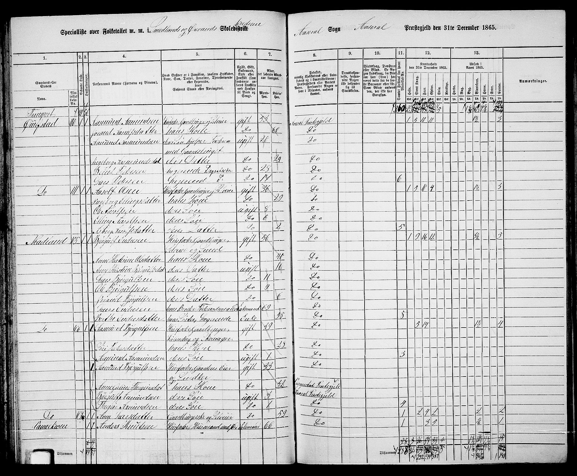 RA, 1865 census for Åseral, 1865, p. 53