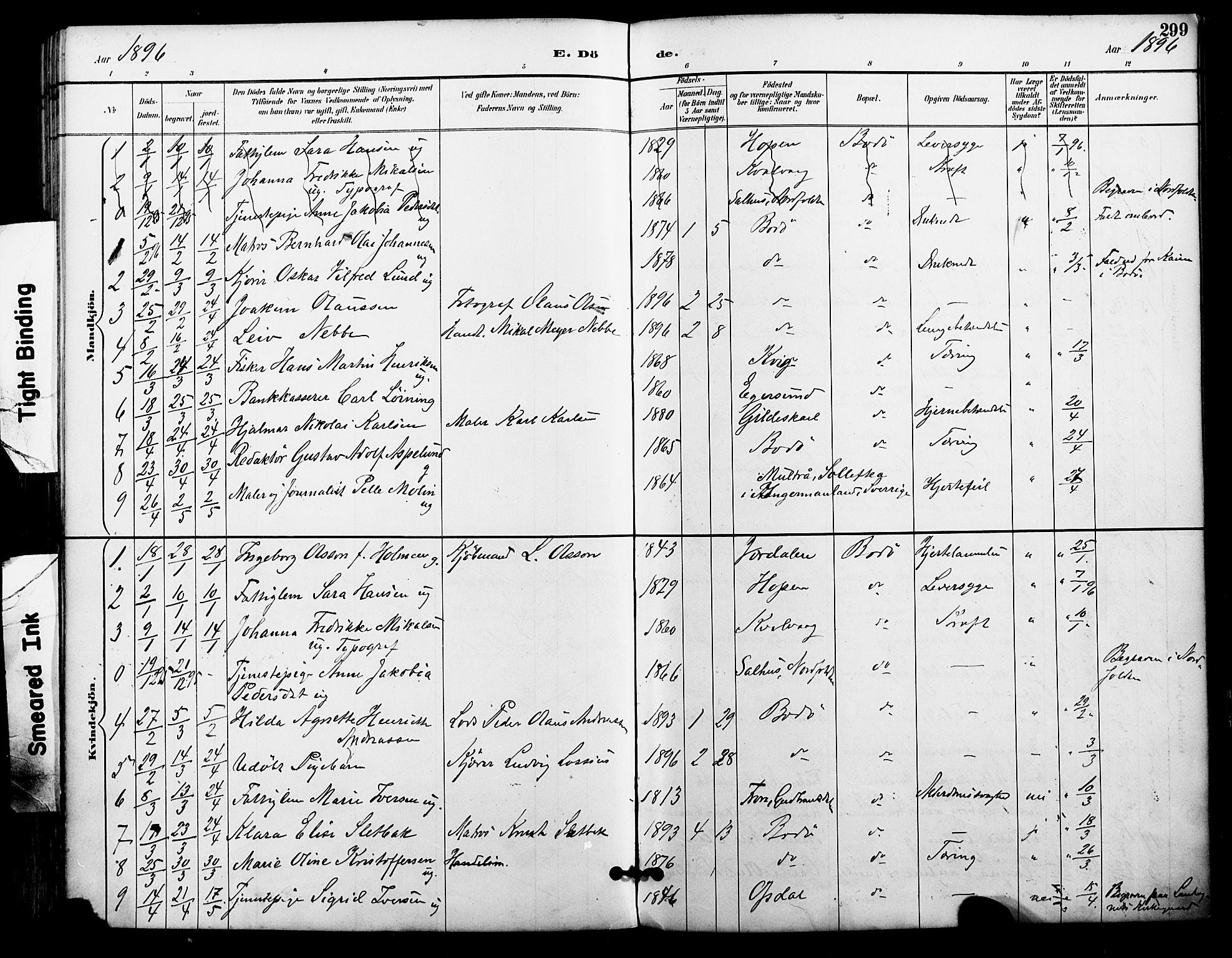 Ministerialprotokoller, klokkerbøker og fødselsregistre - Nordland, AV/SAT-A-1459/801/L0010: Parish register (official) no. 801A10, 1888-1899, p. 299