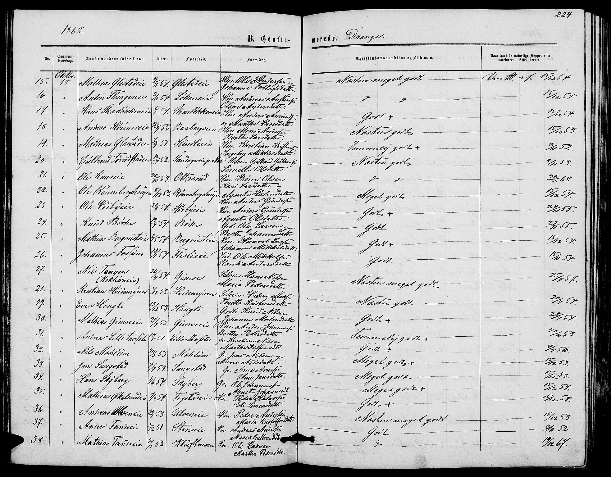 Ringsaker prestekontor, AV/SAH-PREST-014/L/La/L0007: Parish register (copy) no. 7, 1861-1869, p. 224