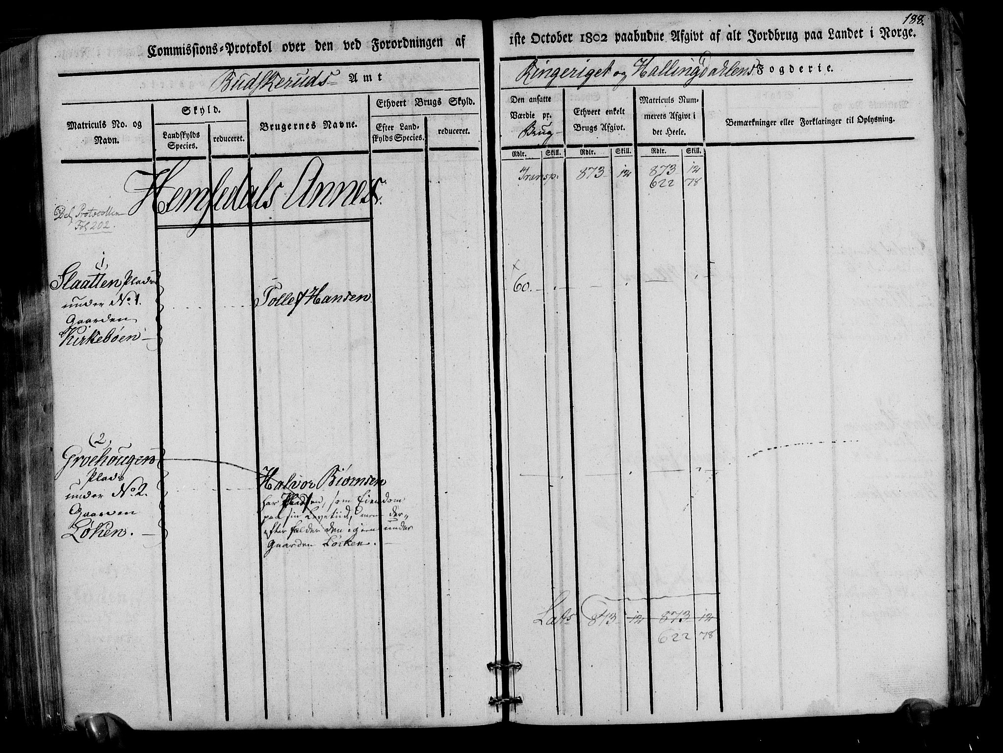 Rentekammeret inntil 1814, Realistisk ordnet avdeling, AV/RA-EA-4070/N/Ne/Nea/L0047: Ringerike og Hallingdal fogderi. Kommisjonsprotokoll for Nes prestegjeld, 1803, p. 191