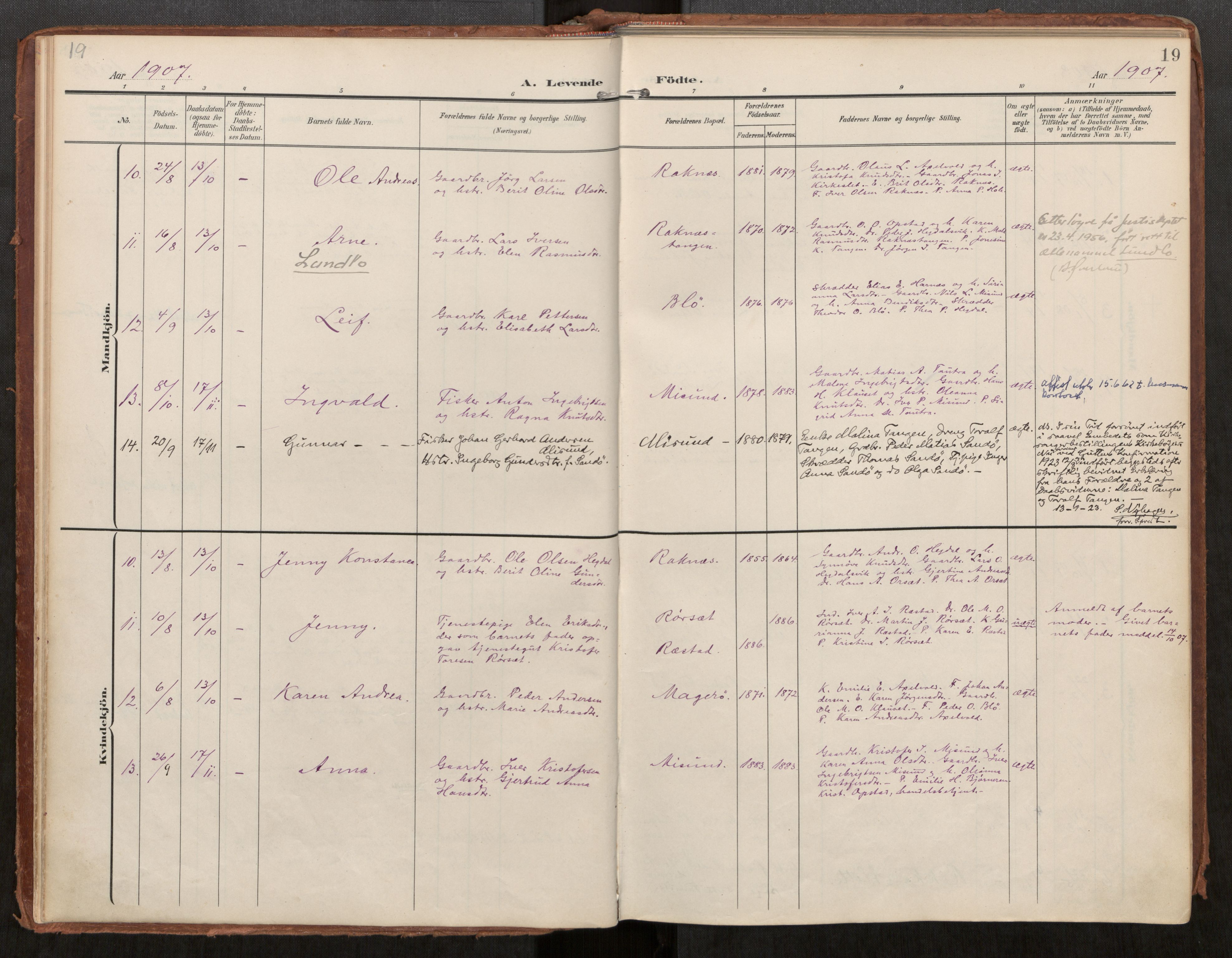 Ministerialprotokoller, klokkerbøker og fødselsregistre - Møre og Romsdal, AV/SAT-A-1454/563/L0740: Parish register (official) no. 563A02, 1903-1923, p. 19