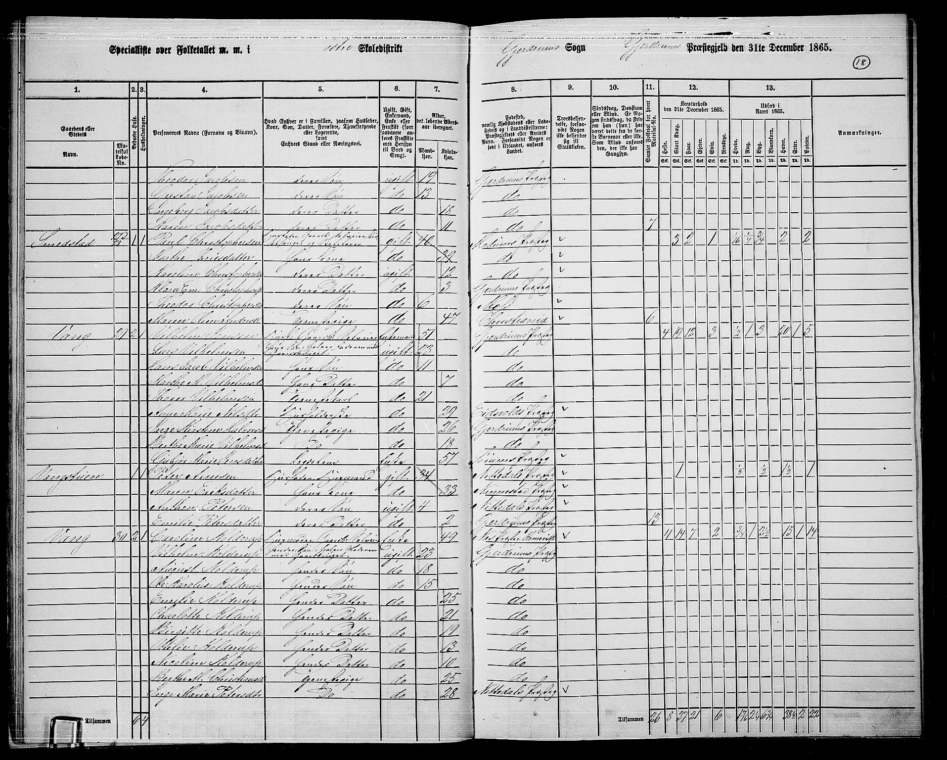 RA, 1865 census for Gjerdrum, 1865, p. 17