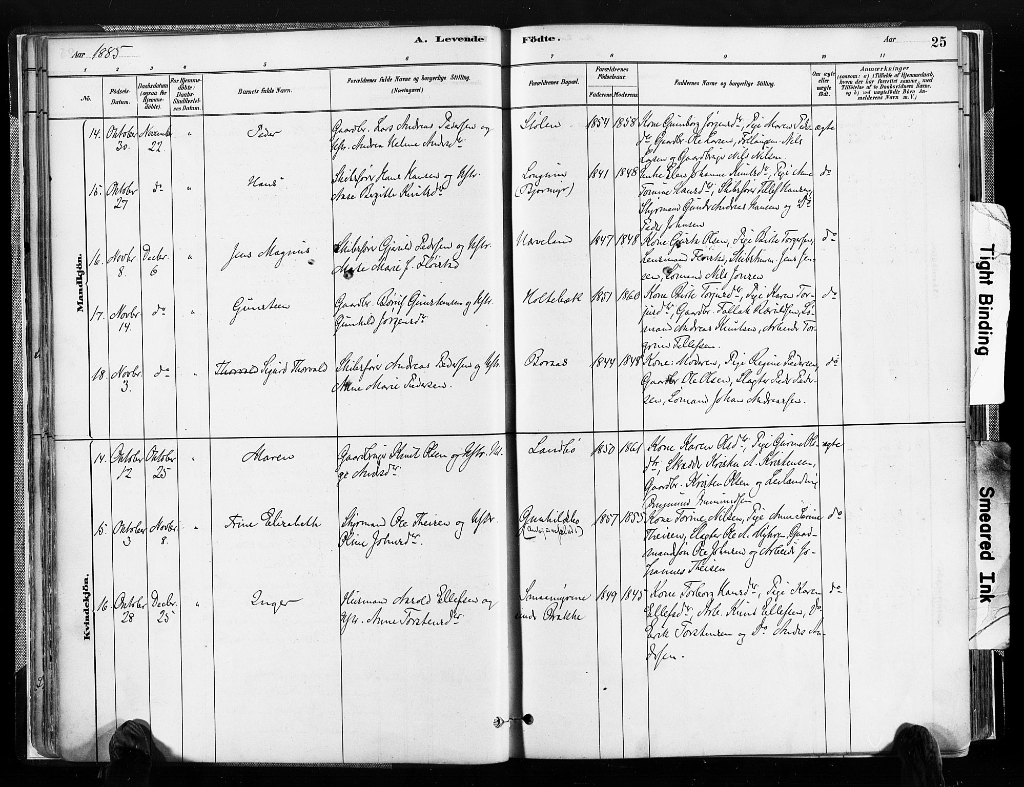Austre Moland sokneprestkontor, SAK/1111-0001/F/Fa/Faa/L0010: Parish register (official) no. A 10, 1880-1904, p. 25