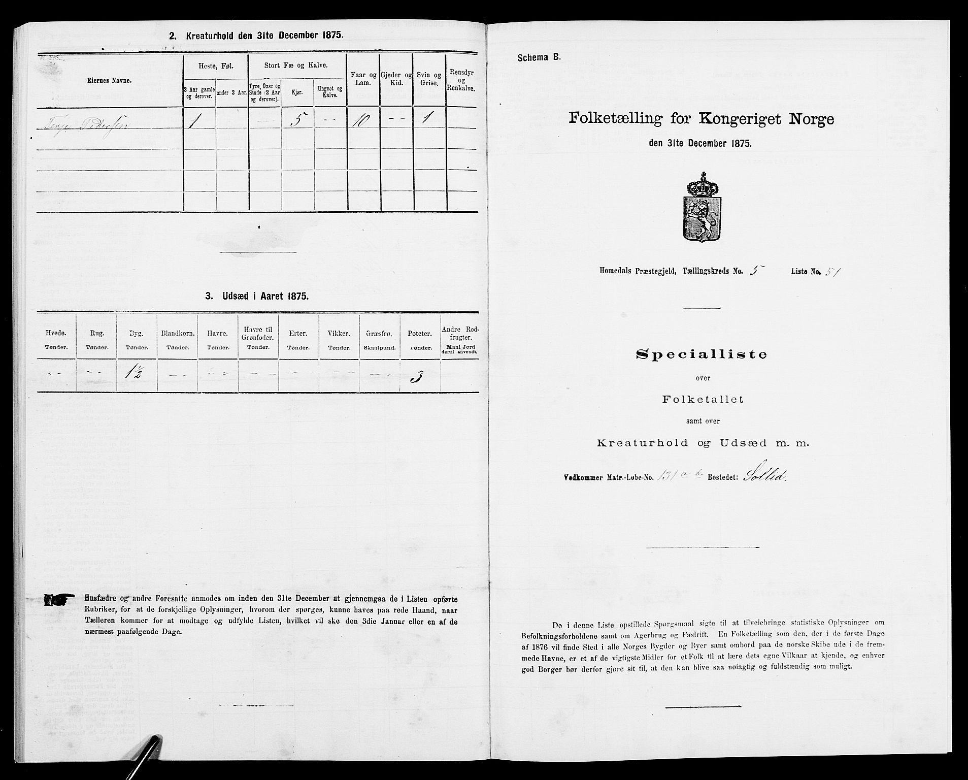 SAK, 1875 census for 0924P Homedal, 1875, p. 1034