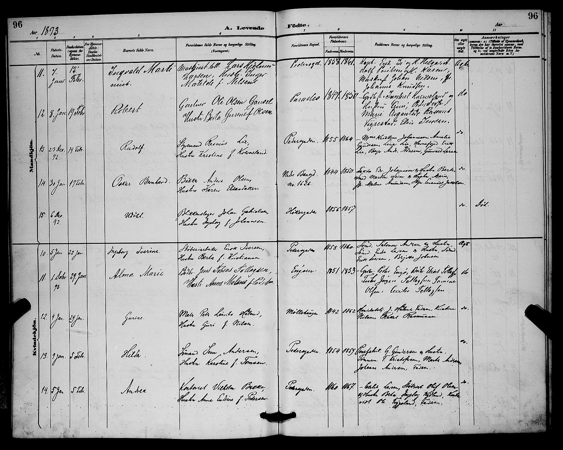 St. Johannes sokneprestkontor, SAST/A-101814/001/30/30BB/L0002: Parish register (copy) no. B 2, 1888-1901, p. 96