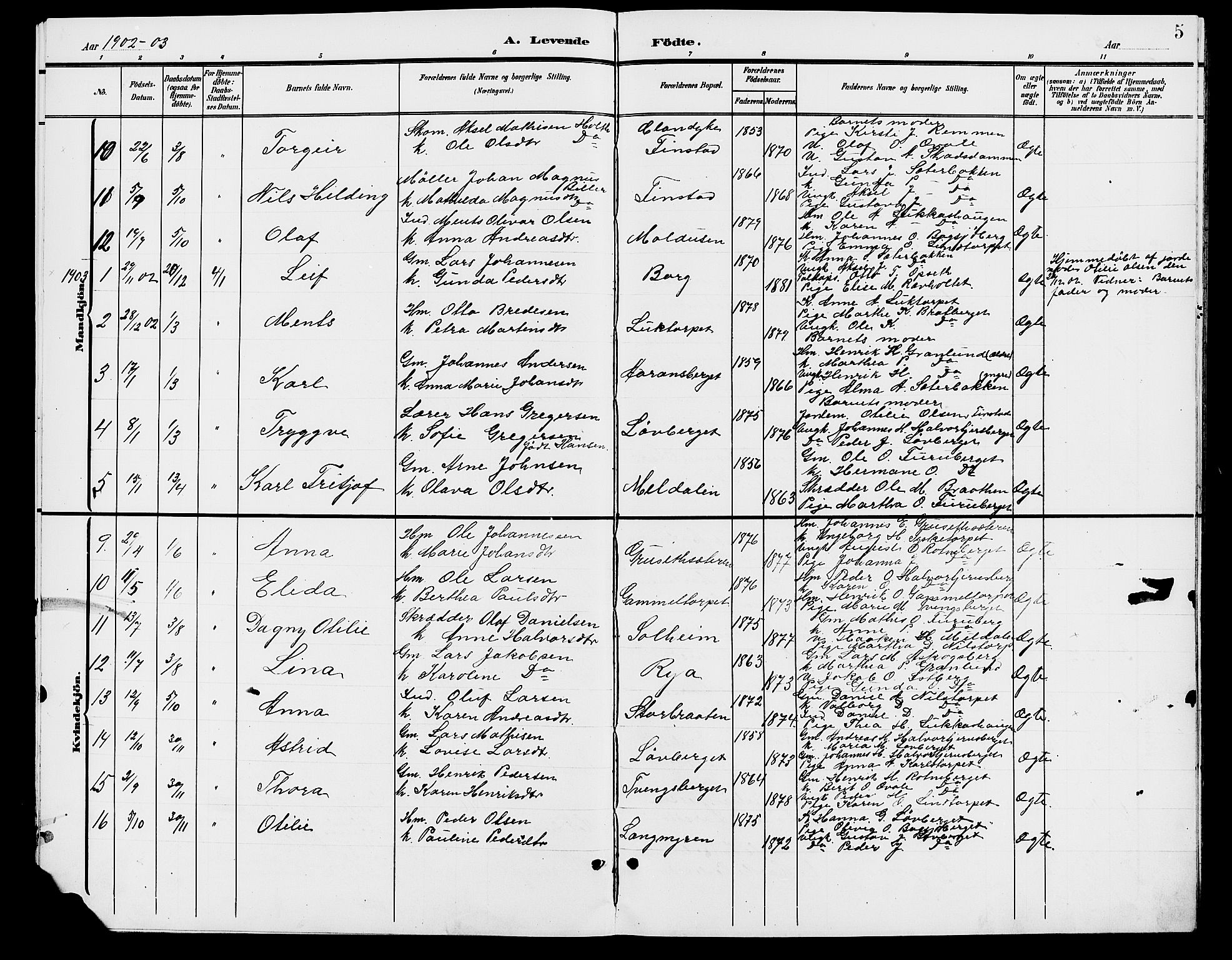 Grue prestekontor, AV/SAH-PREST-036/H/Ha/Hab/L0006: Parish register (copy) no. 6, 1902-1910, p. 5