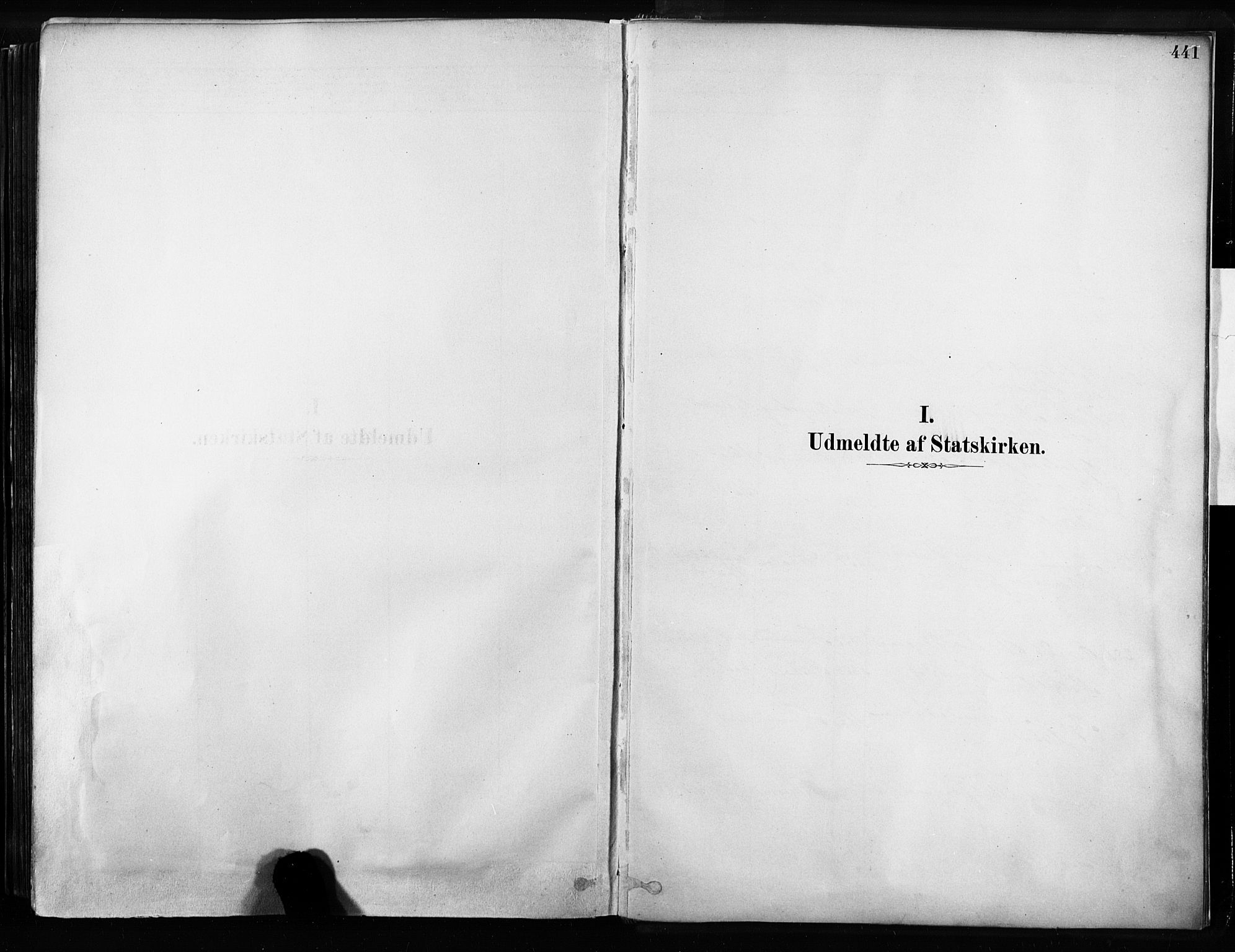 Sandsvær kirkebøker, AV/SAKO-A-244/F/Fb/L0001: Parish register (official) no. II 1, 1878-1906, p. 441