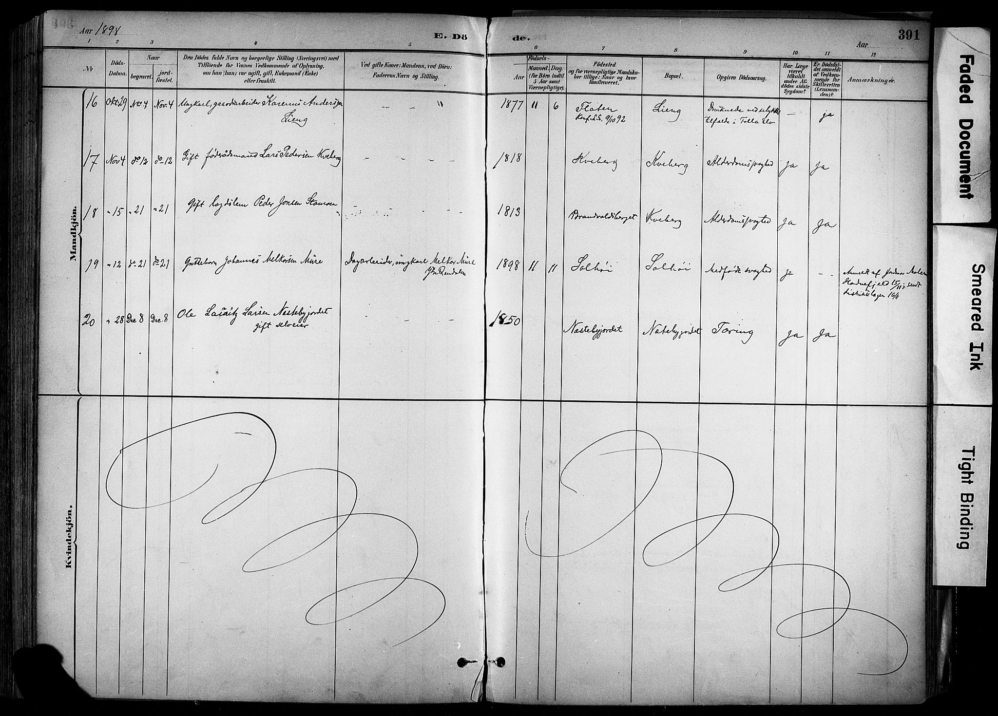 Alvdal prestekontor, AV/SAH-PREST-060/H/Ha/Haa/L0002: Parish register (official) no. 2, 1883-1906, p. 391