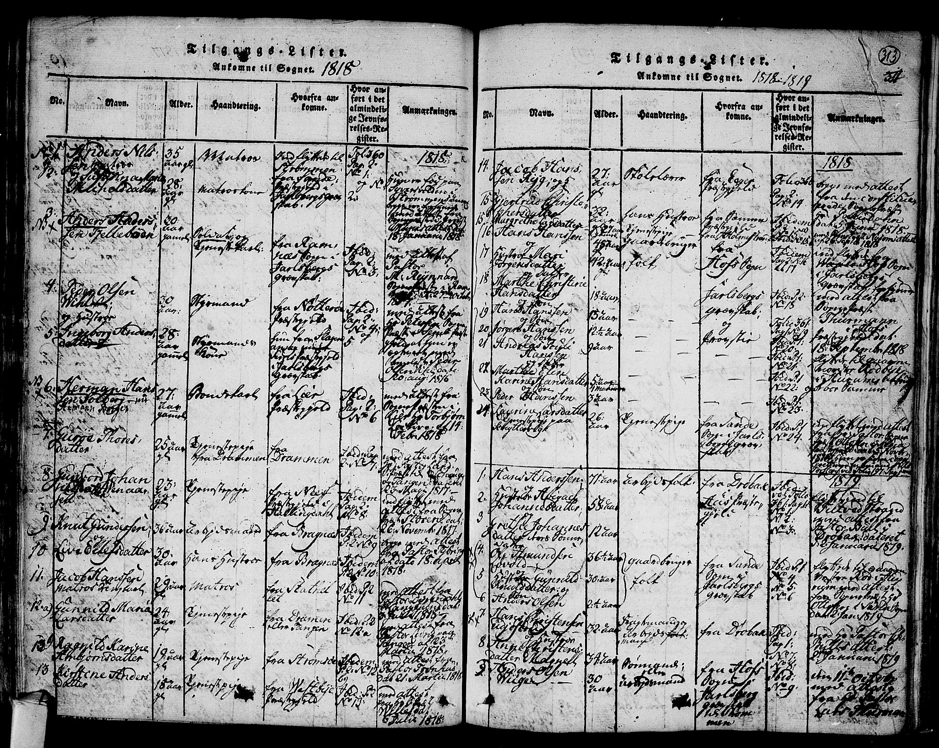 Hurum kirkebøker, SAKO/A-229/F/Fa/L0009: Parish register (official) no. 9, 1816-1826, p. 313