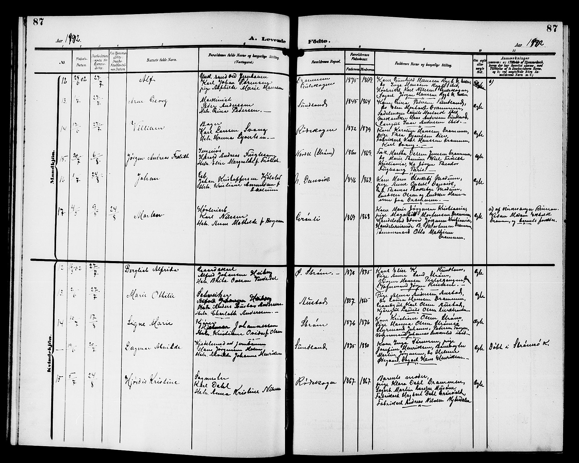 Strømsgodset kirkebøker, AV/SAKO-A-324/G/Ga/L0002: Parish register (copy) no. 2, 1885-1910, p. 87