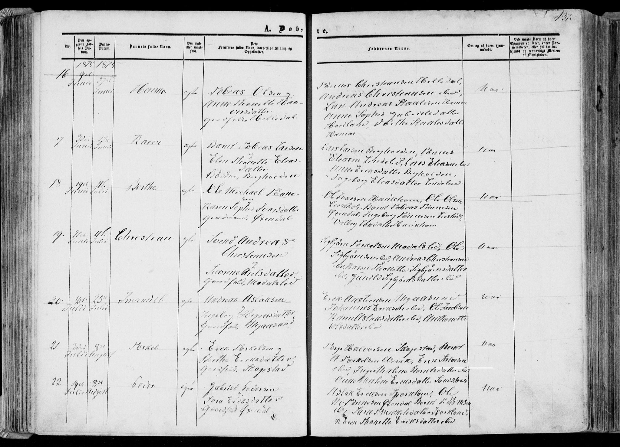 Bakke sokneprestkontor, AV/SAK-1111-0002/F/Fa/Faa/L0006: Parish register (official) no. A 6, 1855-1877, p. 137