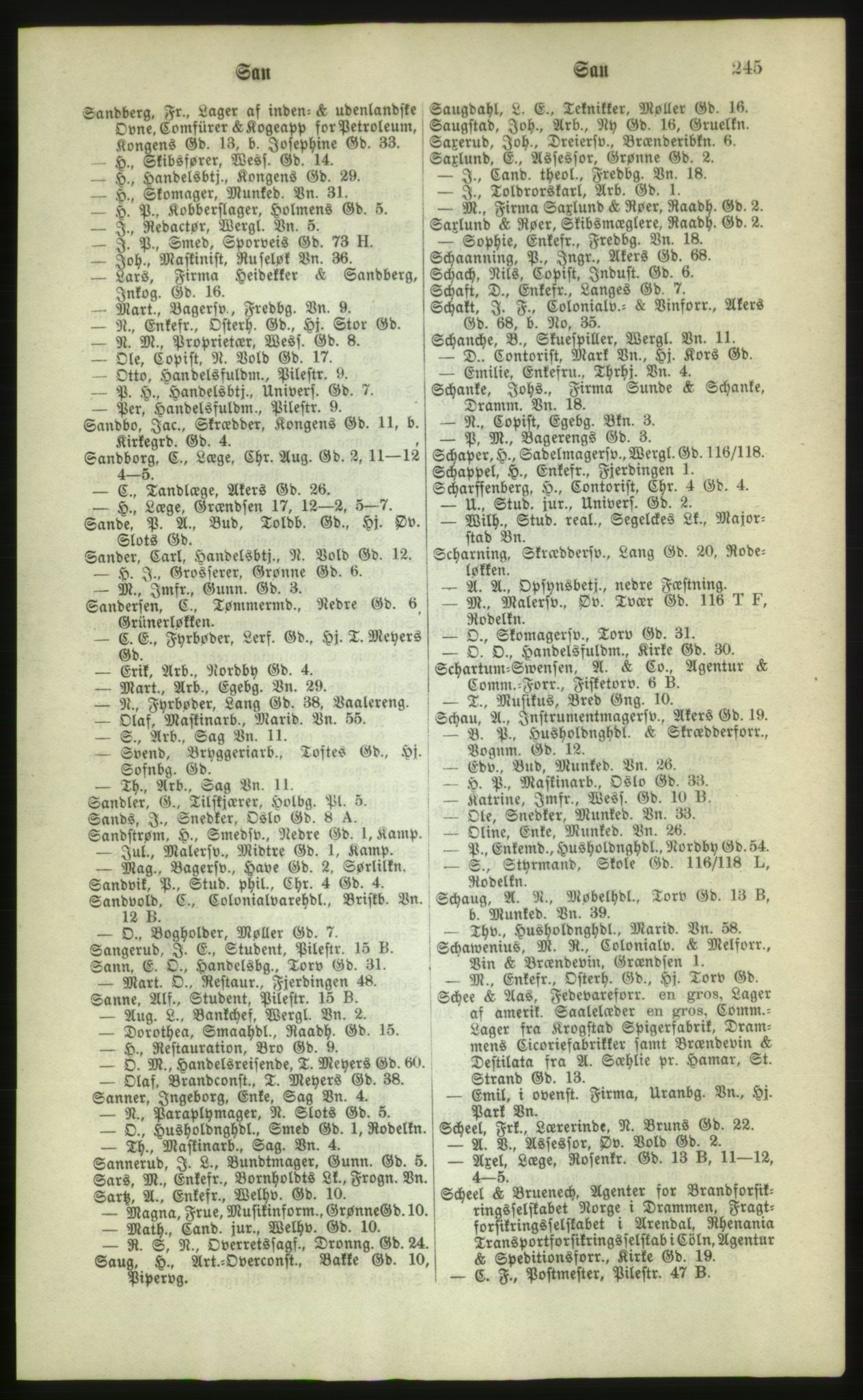 Kristiania/Oslo adressebok, PUBL/-, 1880, p. 245