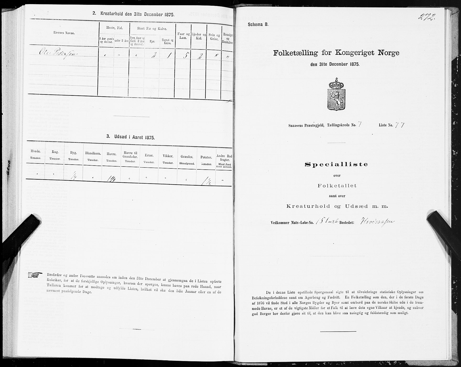 SAT, 1875 census for 1736P Snåsa, 1875, p. 3272