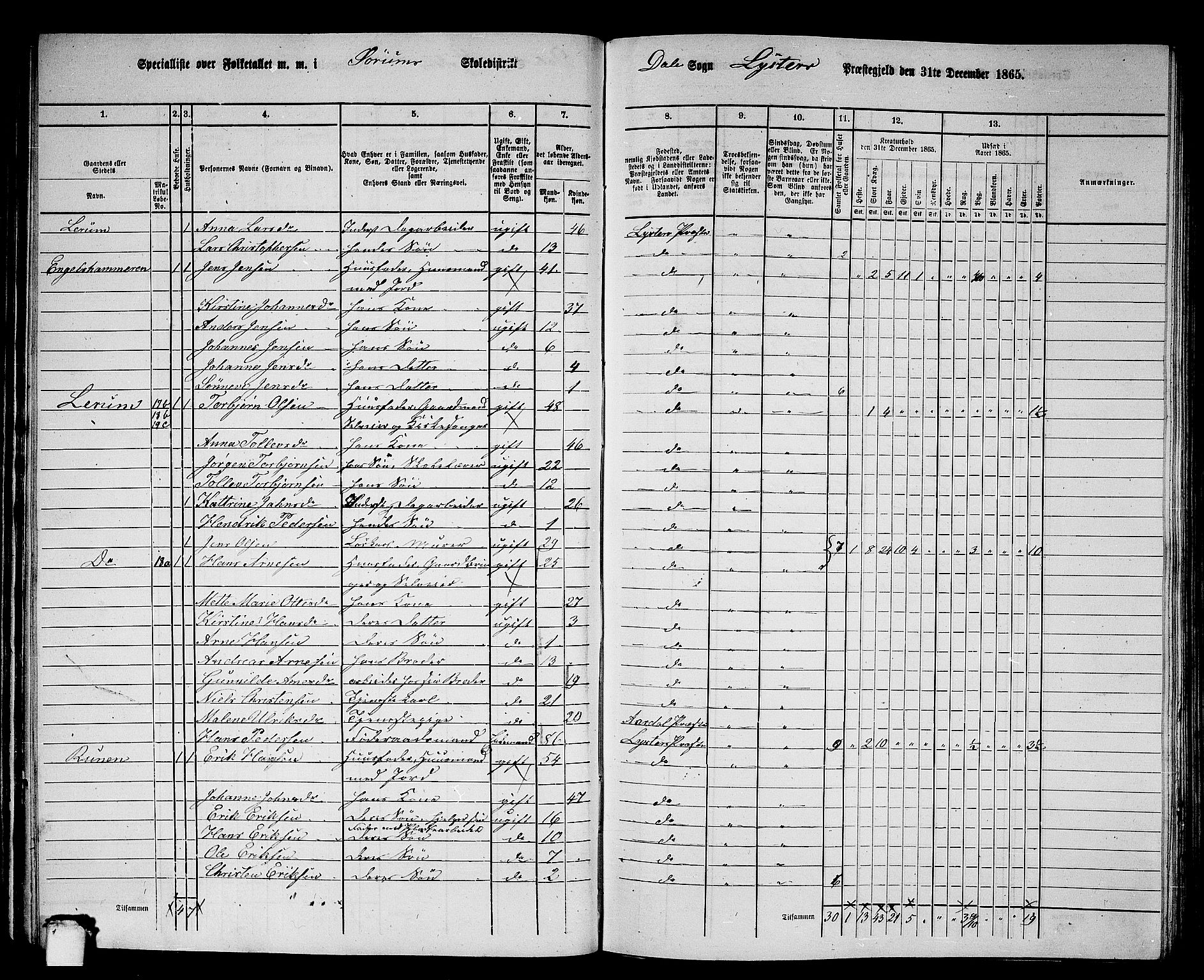 RA, 1865 census for Luster, 1865, p. 61