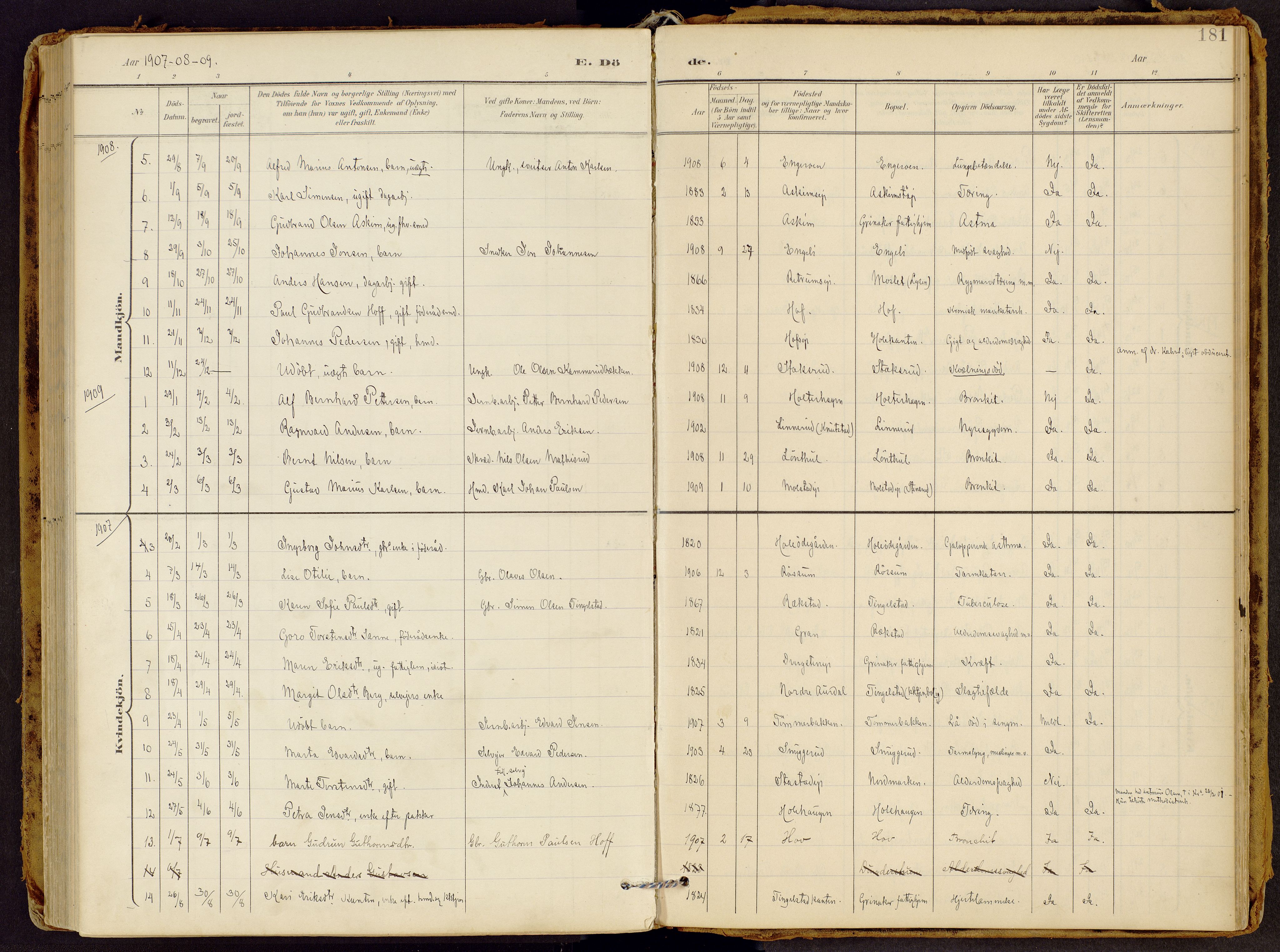 Brandbu prestekontor, SAH/PREST-114/H/Ha/Haa/L0002: Parish register (official) no. 2, 1899-1914, p. 181
