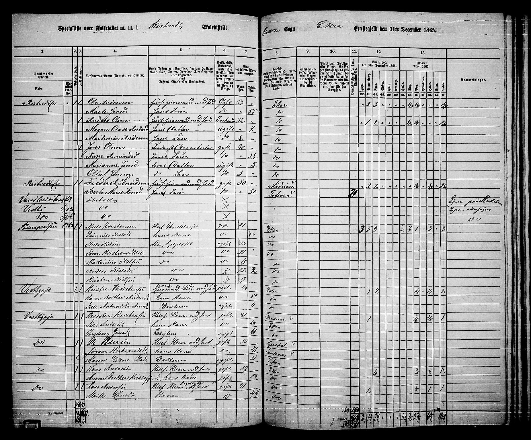 RA, 1865 census for Eiker, 1865, p. 423