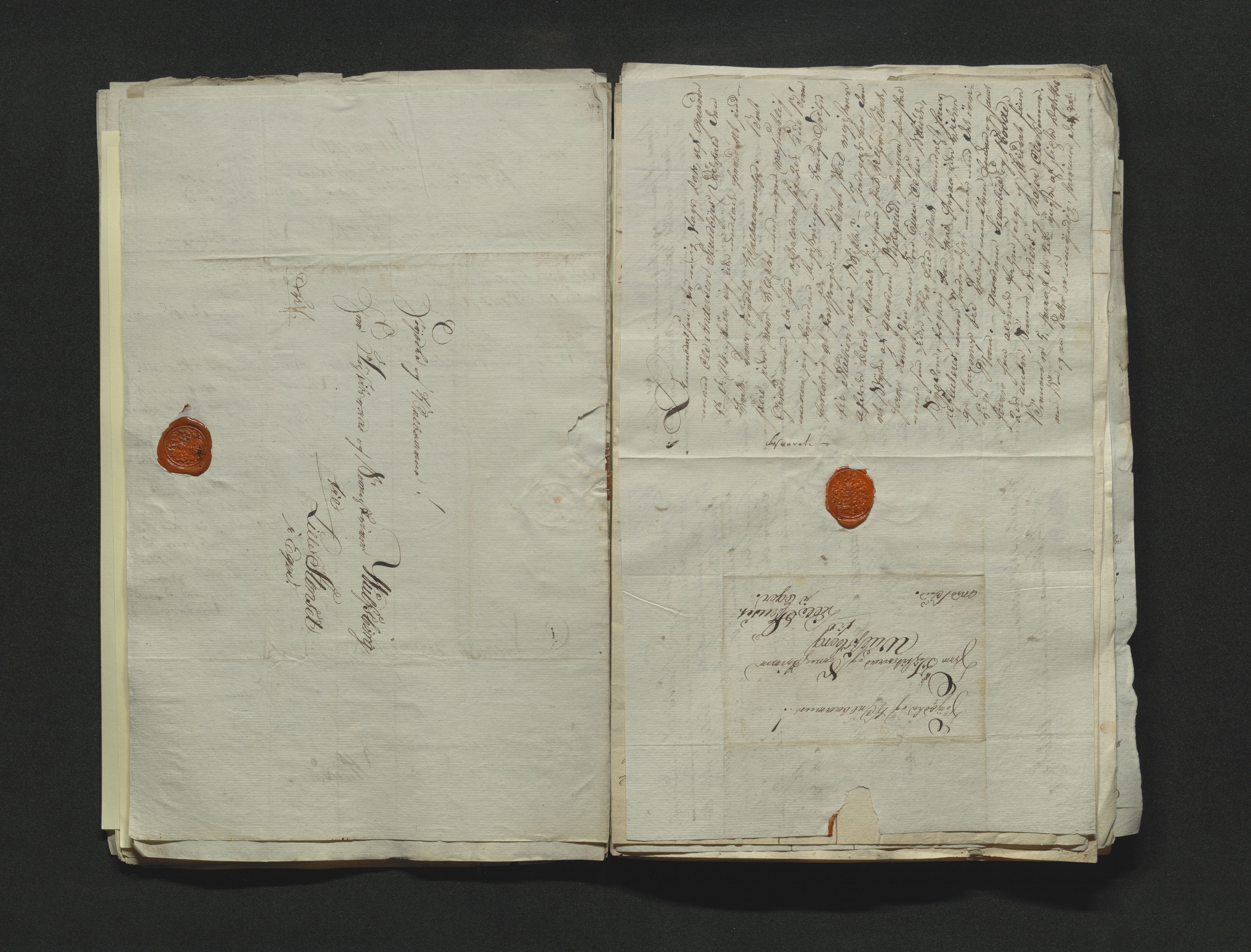 Eiker, Modum og Sigdal sorenskriveri, AV/SAKO-A-123/H/Ha/Hab/L0001: Dødsfallsmeldinger, 1812-1822, p. 62