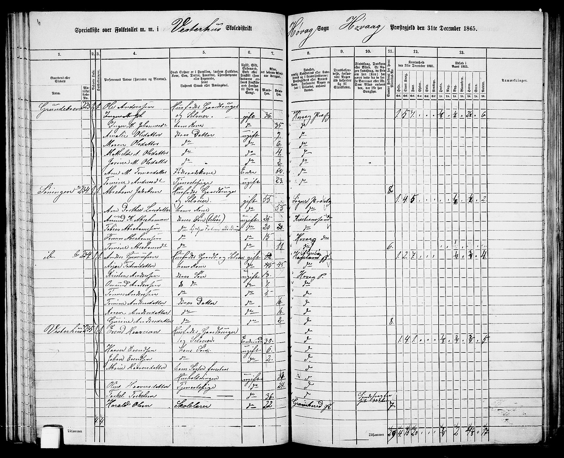 RA, 1865 census for Høvåg, 1865, p. 65