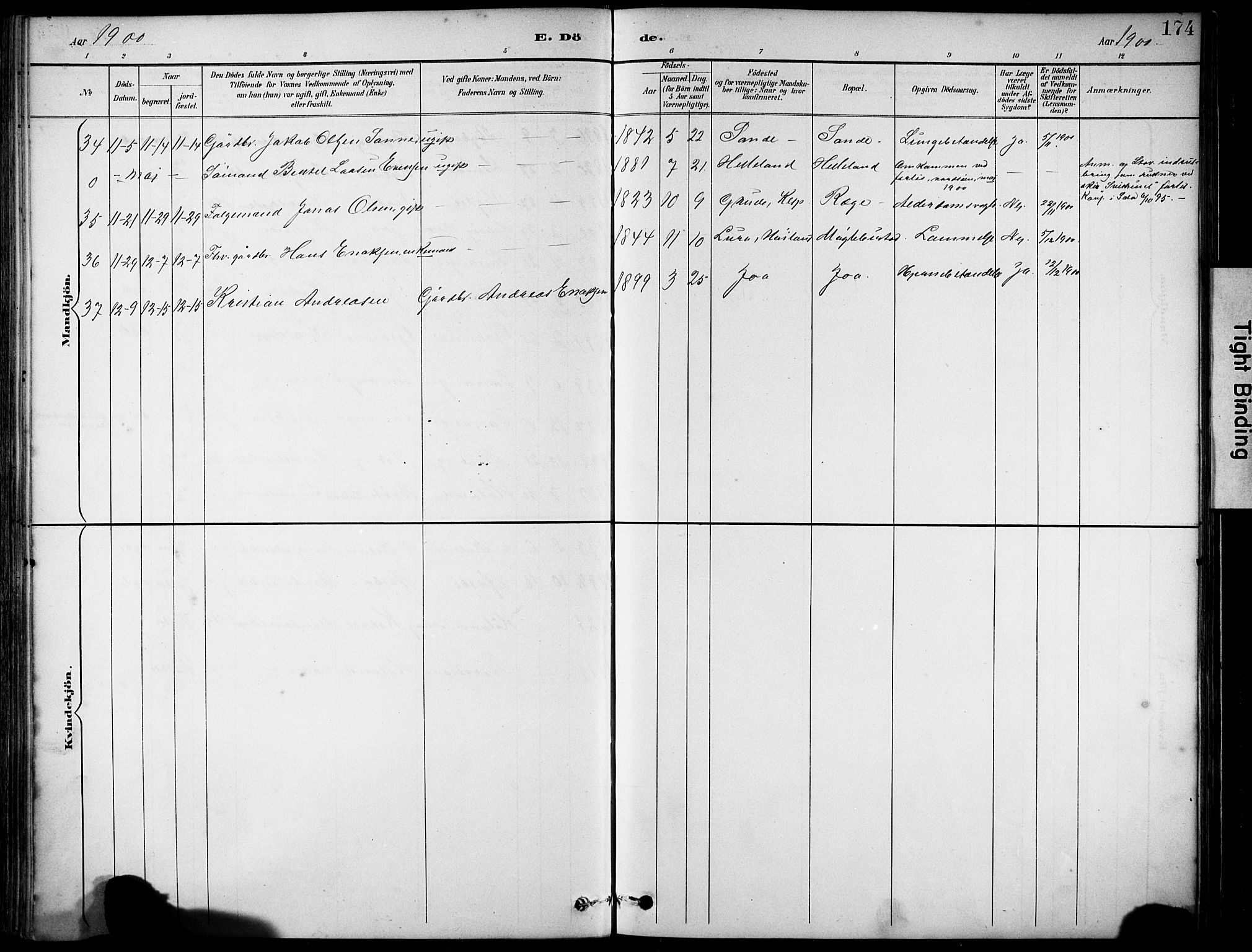 Håland sokneprestkontor, AV/SAST-A-101802/001/30BA/L0012: Parish register (official) no. A 11, 1889-1900, p. 174