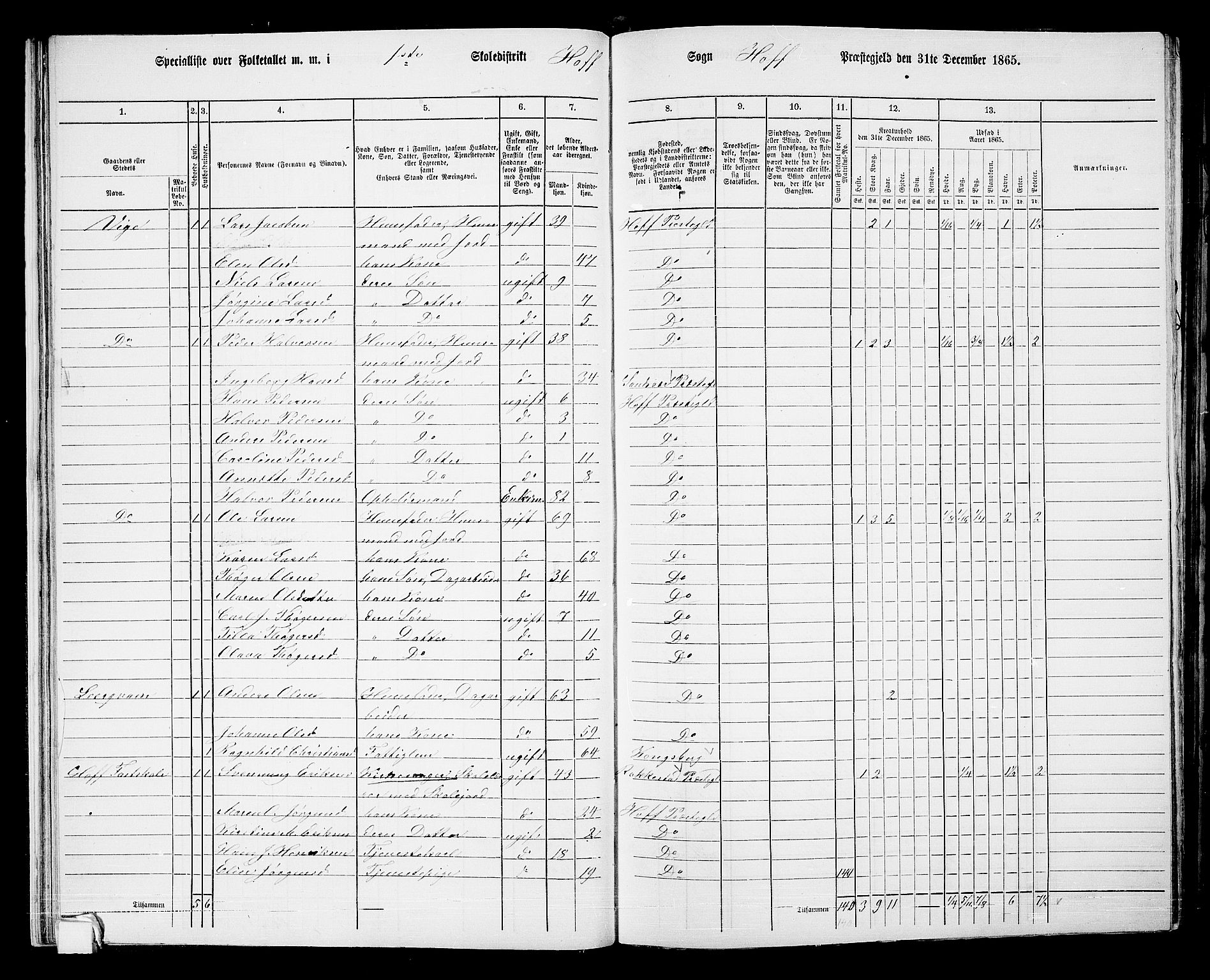 RA, 1865 census for Hof, 1865, p. 31