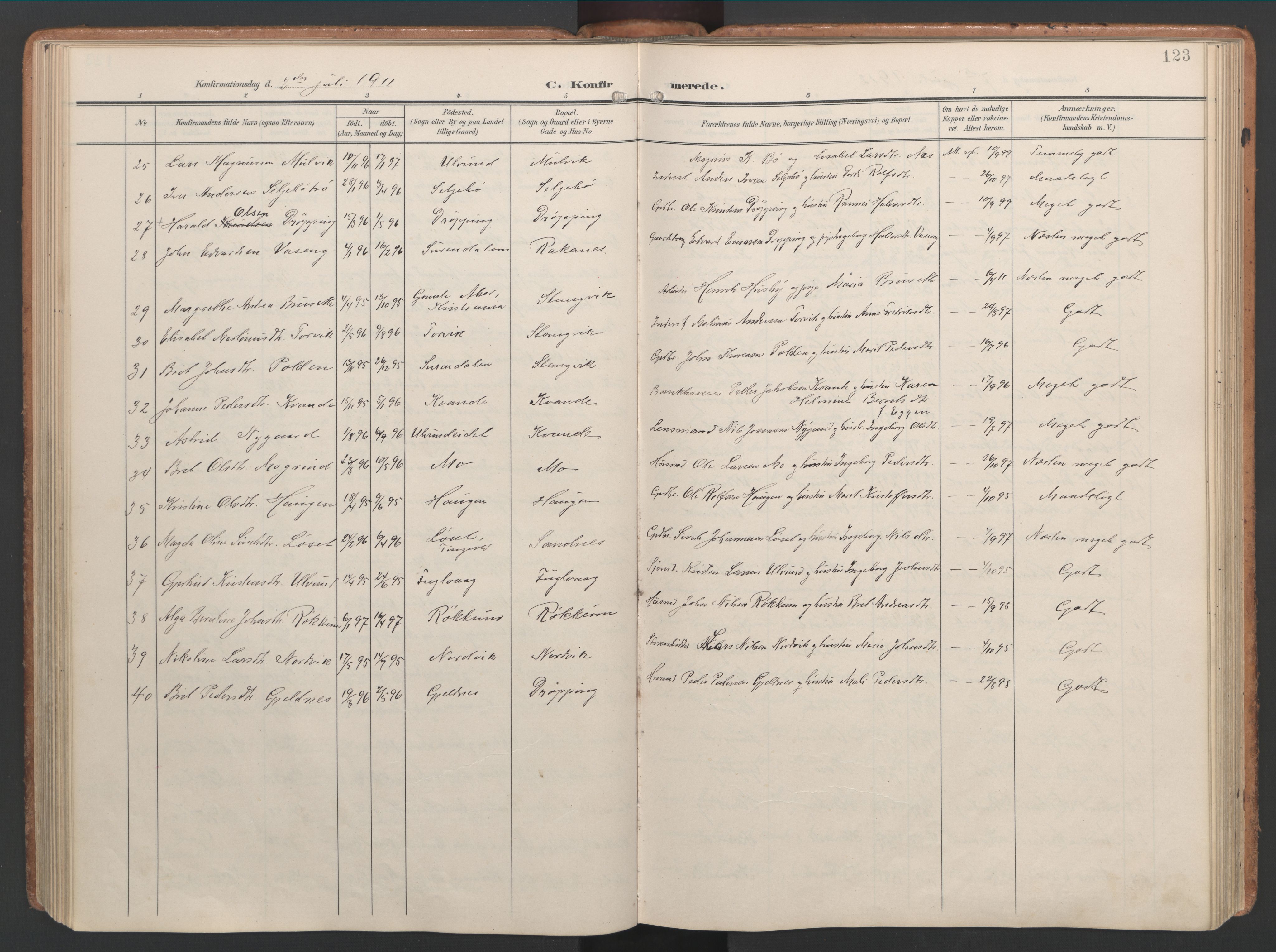 Ministerialprotokoller, klokkerbøker og fødselsregistre - Møre og Romsdal, AV/SAT-A-1454/592/L1030: Parish register (official) no. 592A08, 1901-1925, p. 123