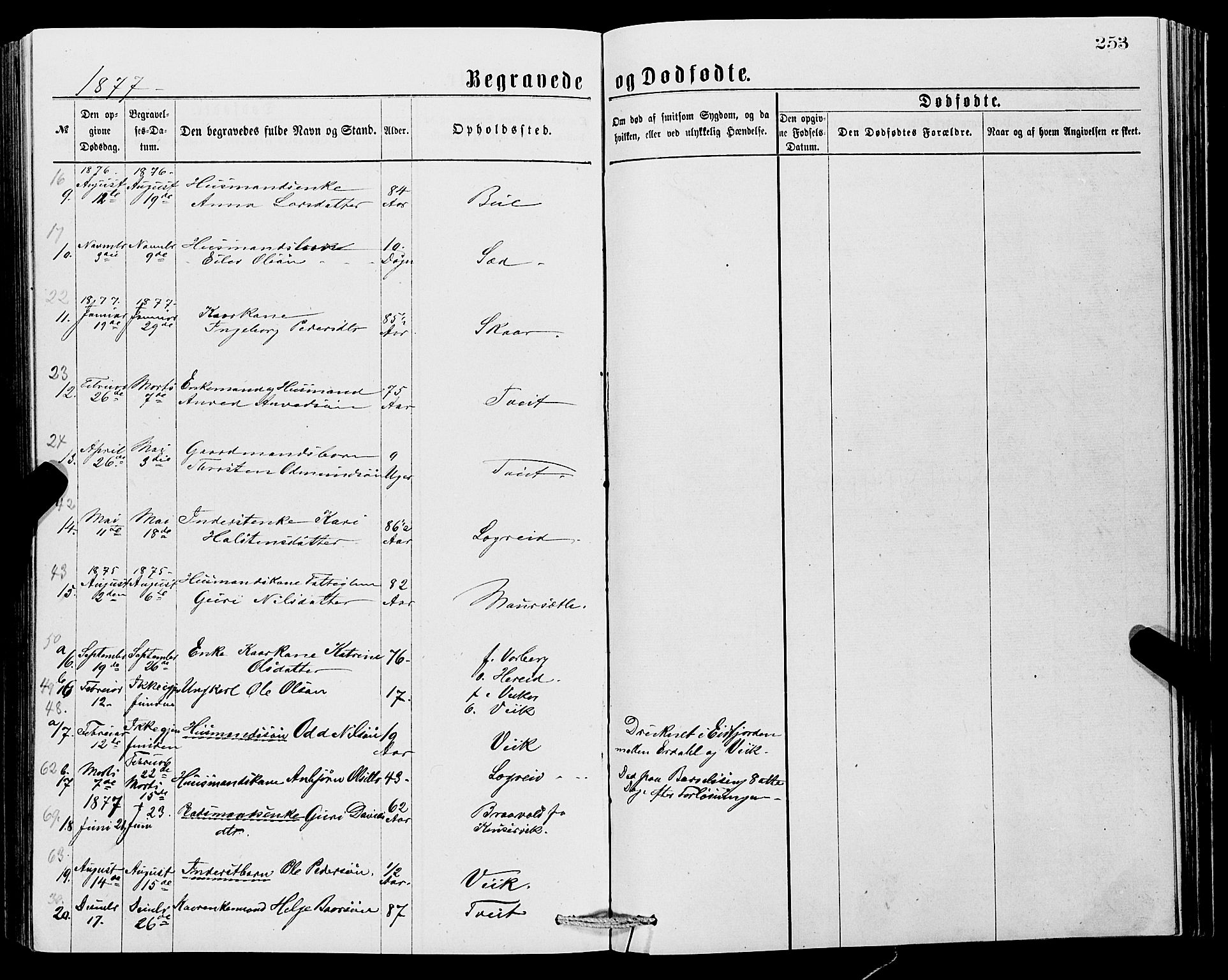 Ullensvang sokneprestembete, SAB/A-78701/H/Hab: Parish register (copy) no. C 2, 1871-1899, p. 253
