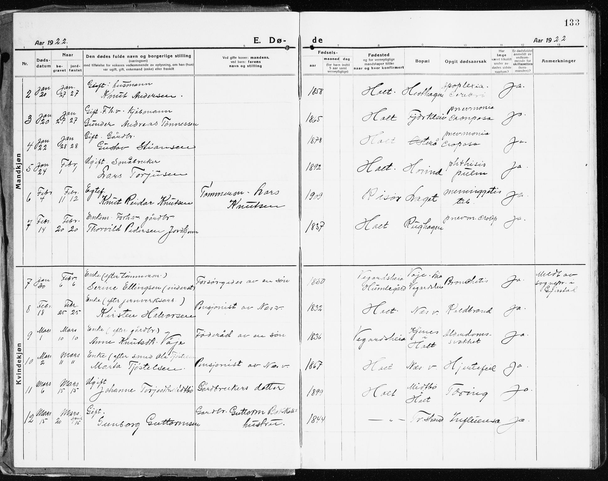 Holt sokneprestkontor, AV/SAK-1111-0021/F/Fb/L0012: Parish register (copy) no. B 12, 1919-1944, p. 133