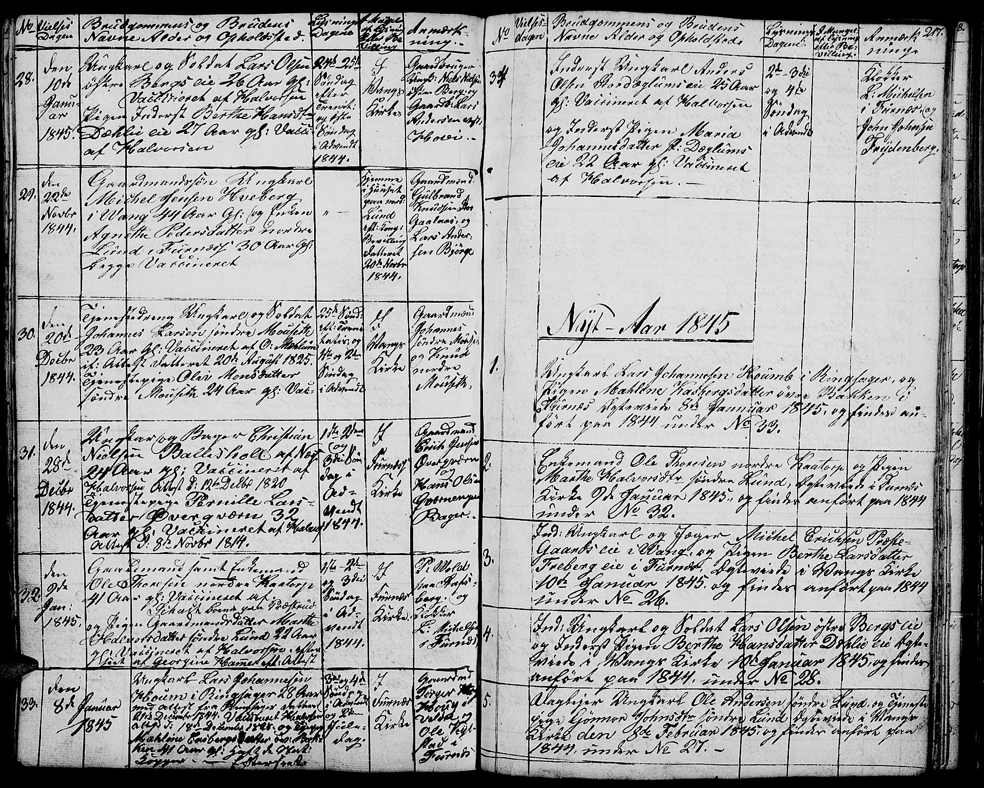 Vang prestekontor, Hedmark, SAH/PREST-008/H/Ha/Hab/L0009: Parish register (copy) no. 9, 1836-1870, p. 217