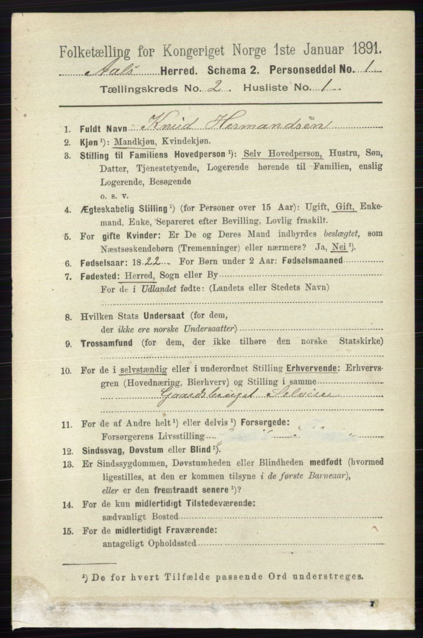 RA, 1891 census for 0619 Ål, 1891, p. 372