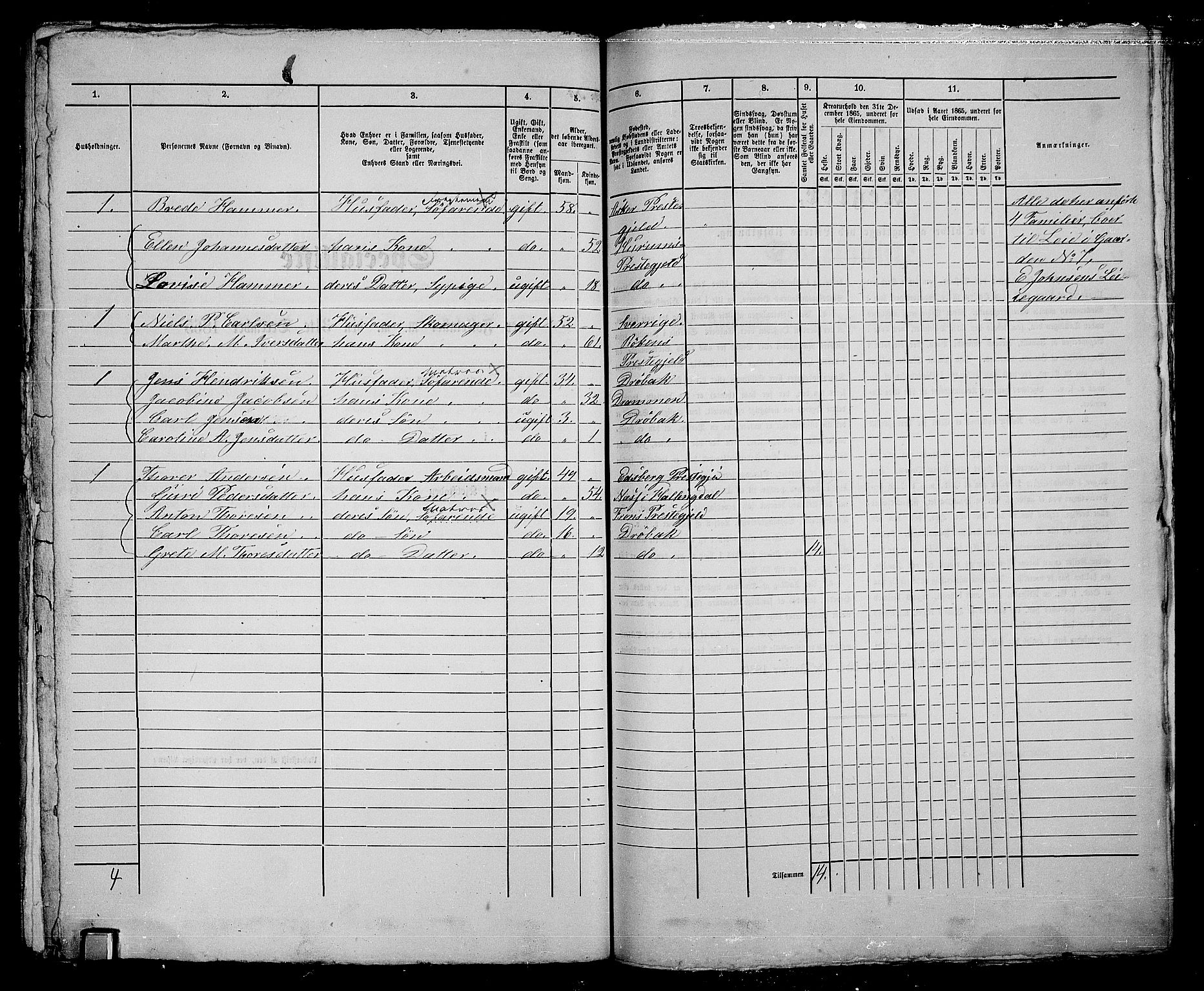 RA, 1865 census for Drøbak/Drøbak, 1865, p. 408