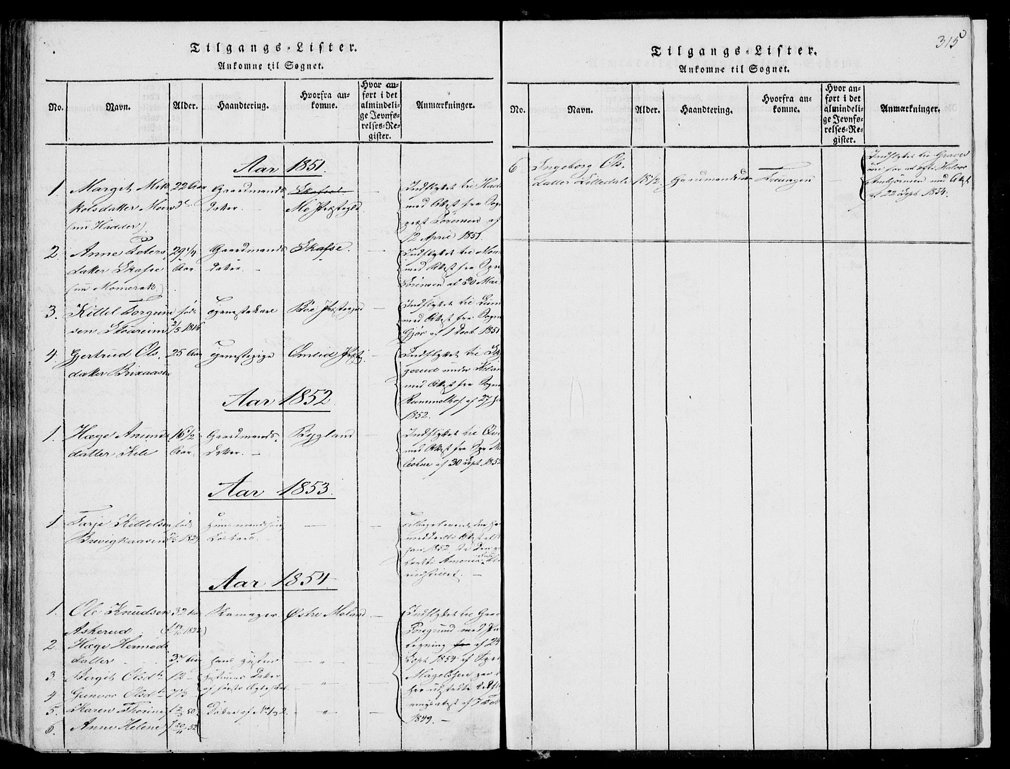 Fyresdal kirkebøker, SAKO/A-263/F/Fa/L0004: Parish register (official) no. I 4, 1815-1854, p. 315